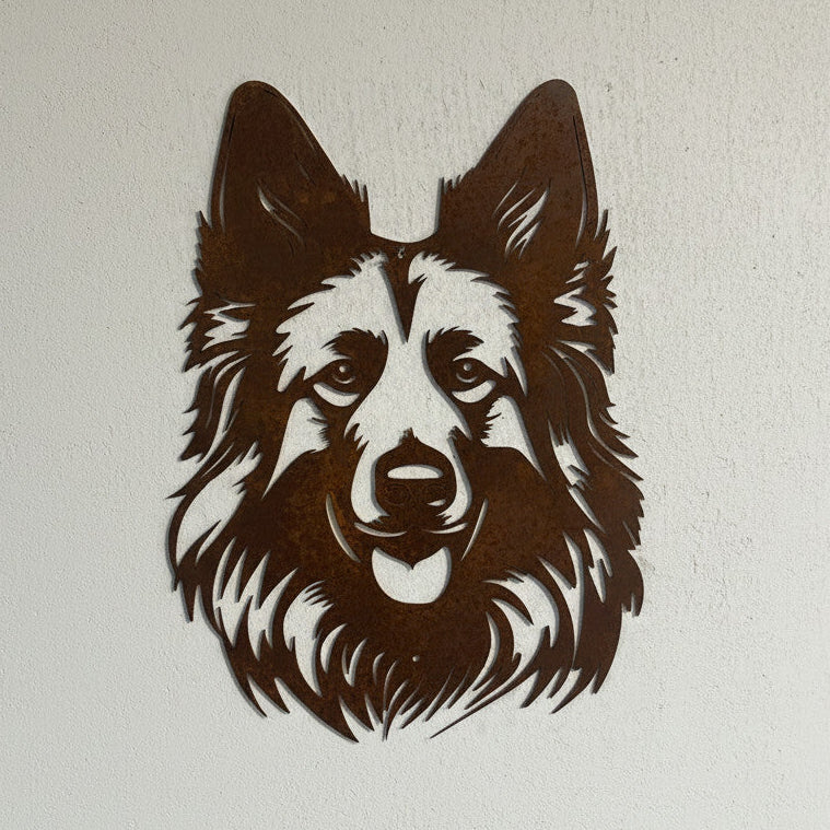 Belgischer Schäferhund