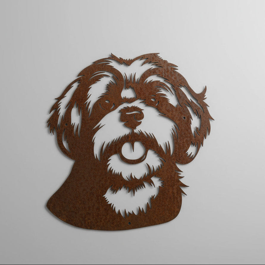 Shih Tzu