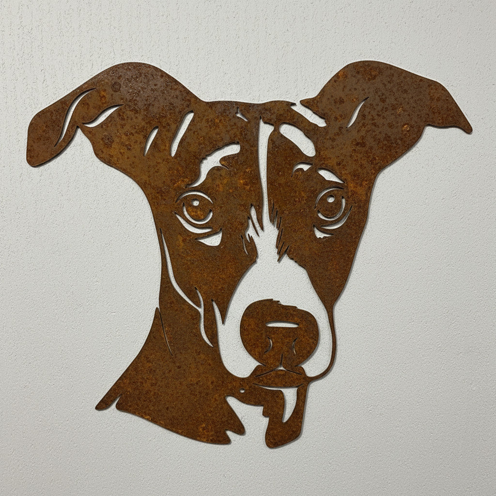 Whippet