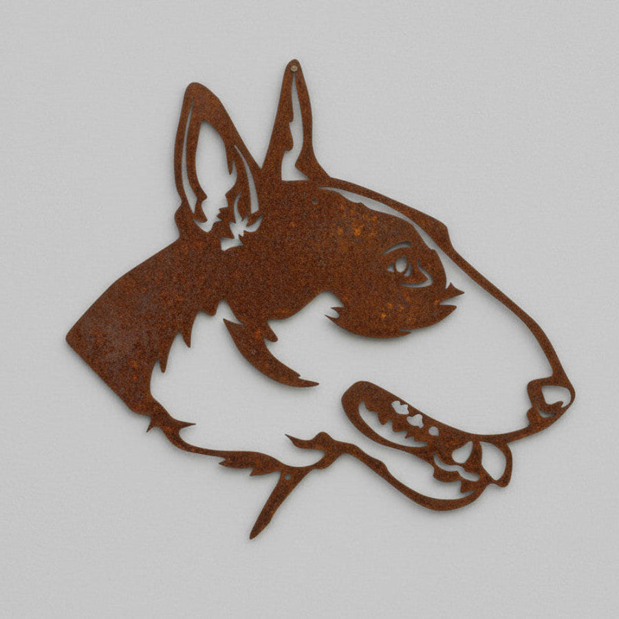 Bullterrier