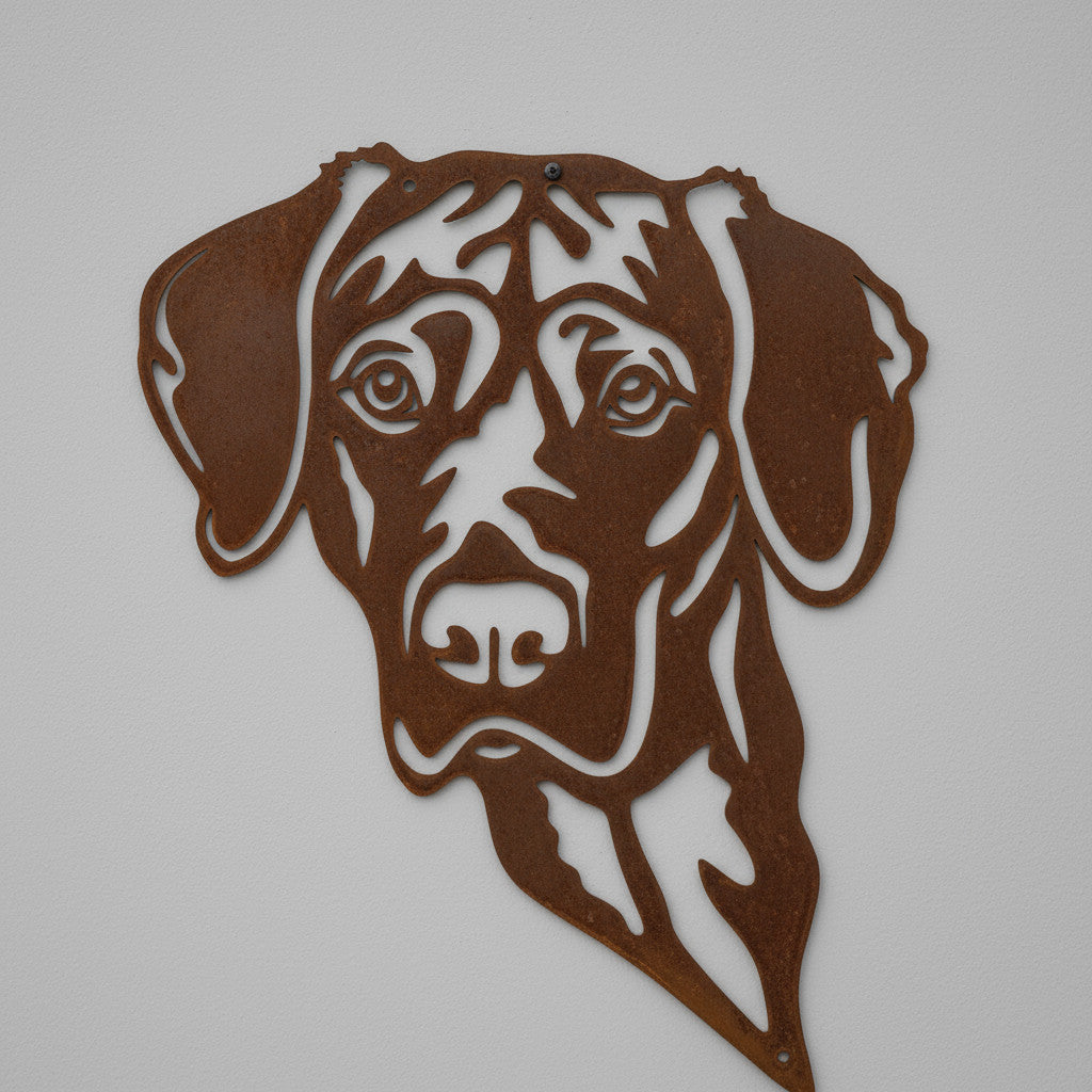 Magyar Vizsla
