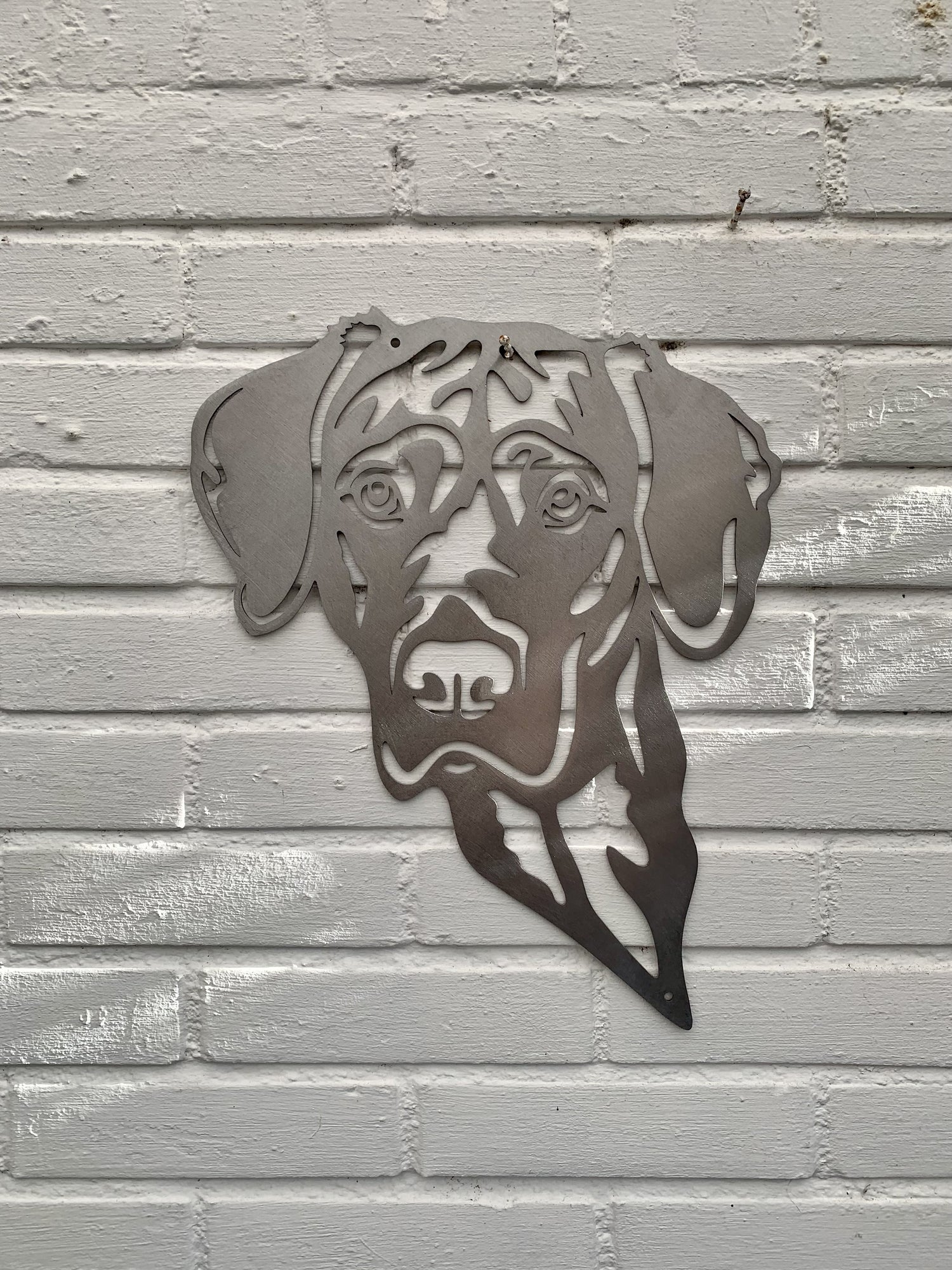 Magyar Vizsla