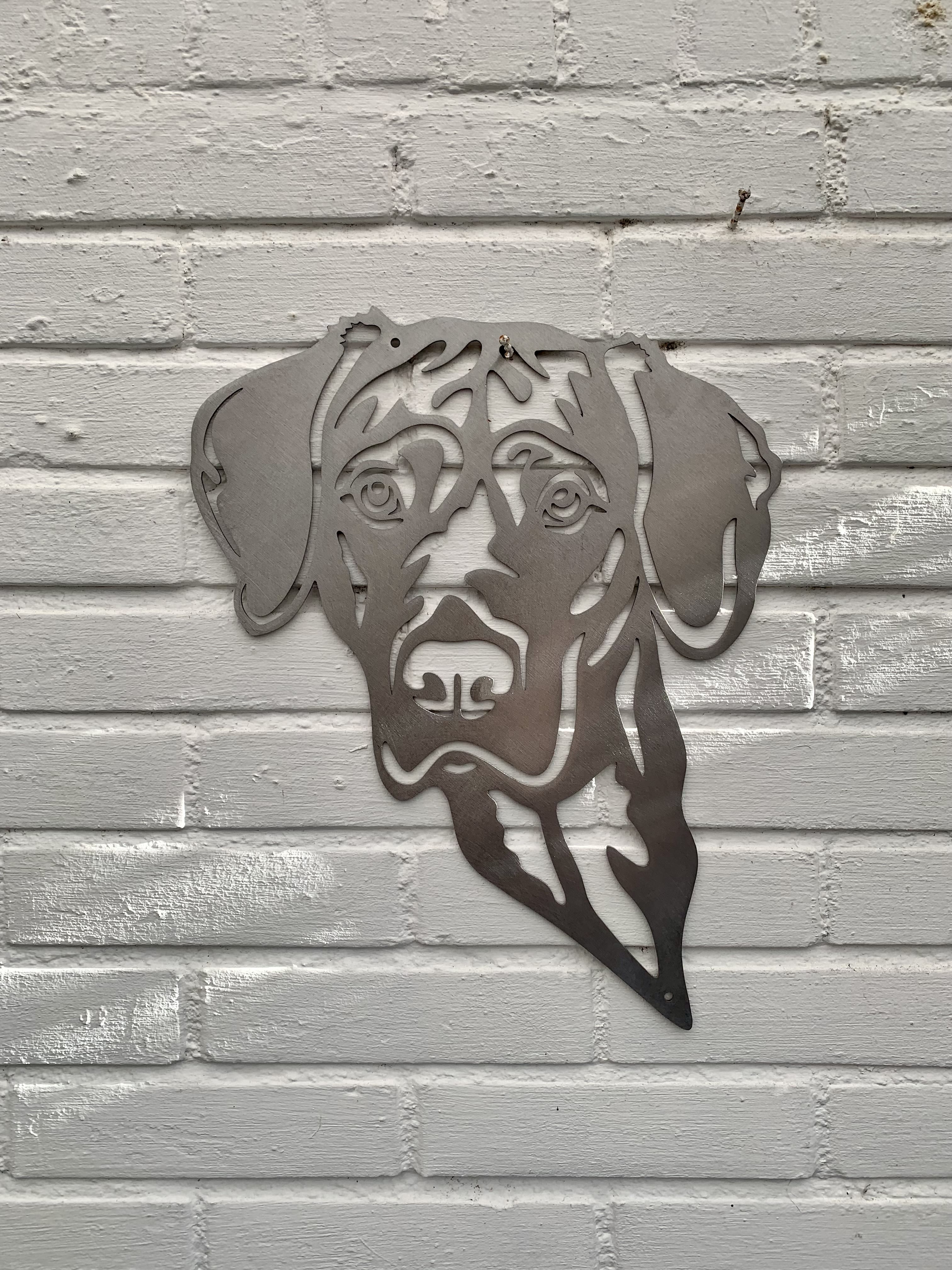 Magyar Vizsla