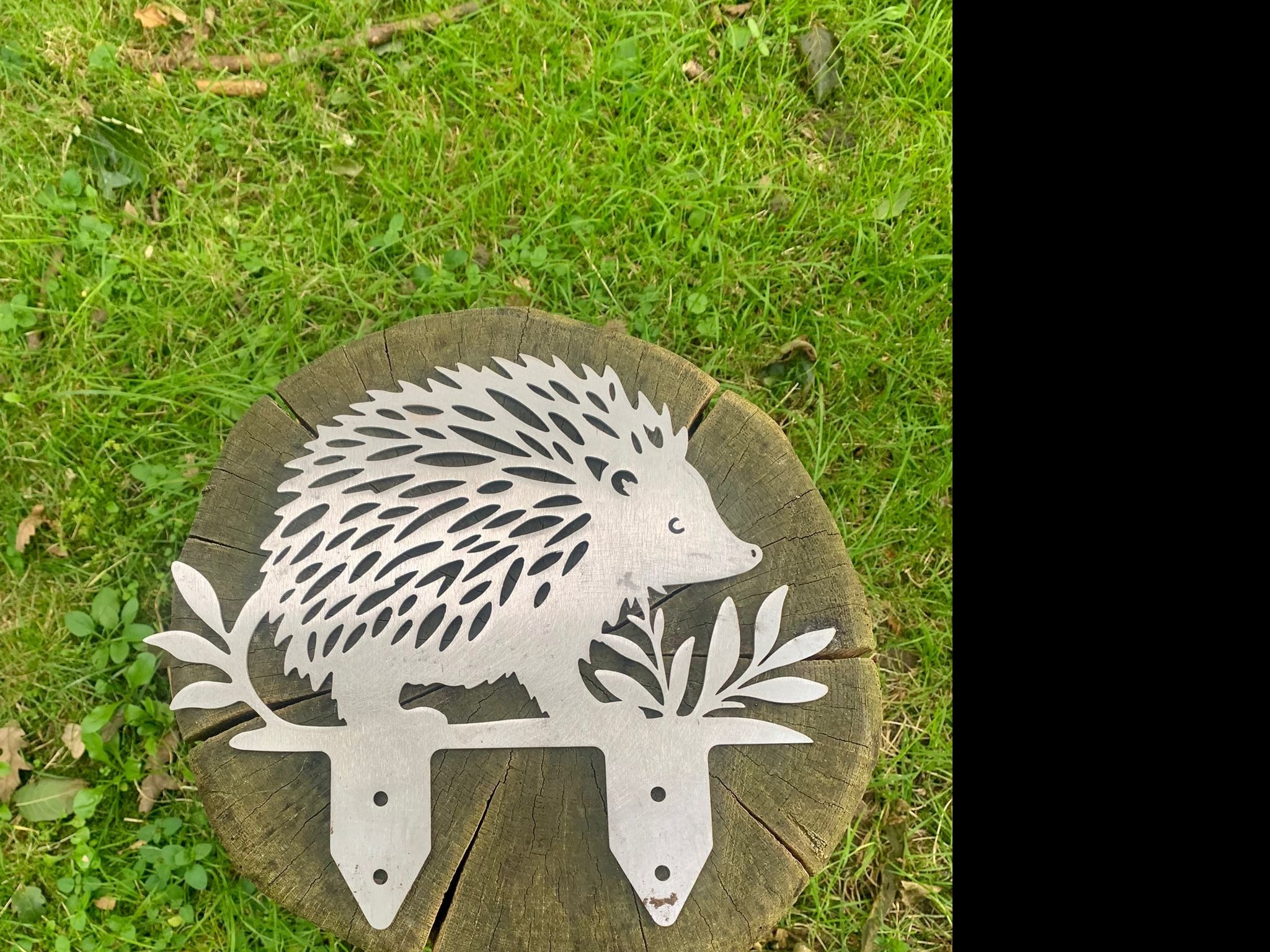 The hedgehog