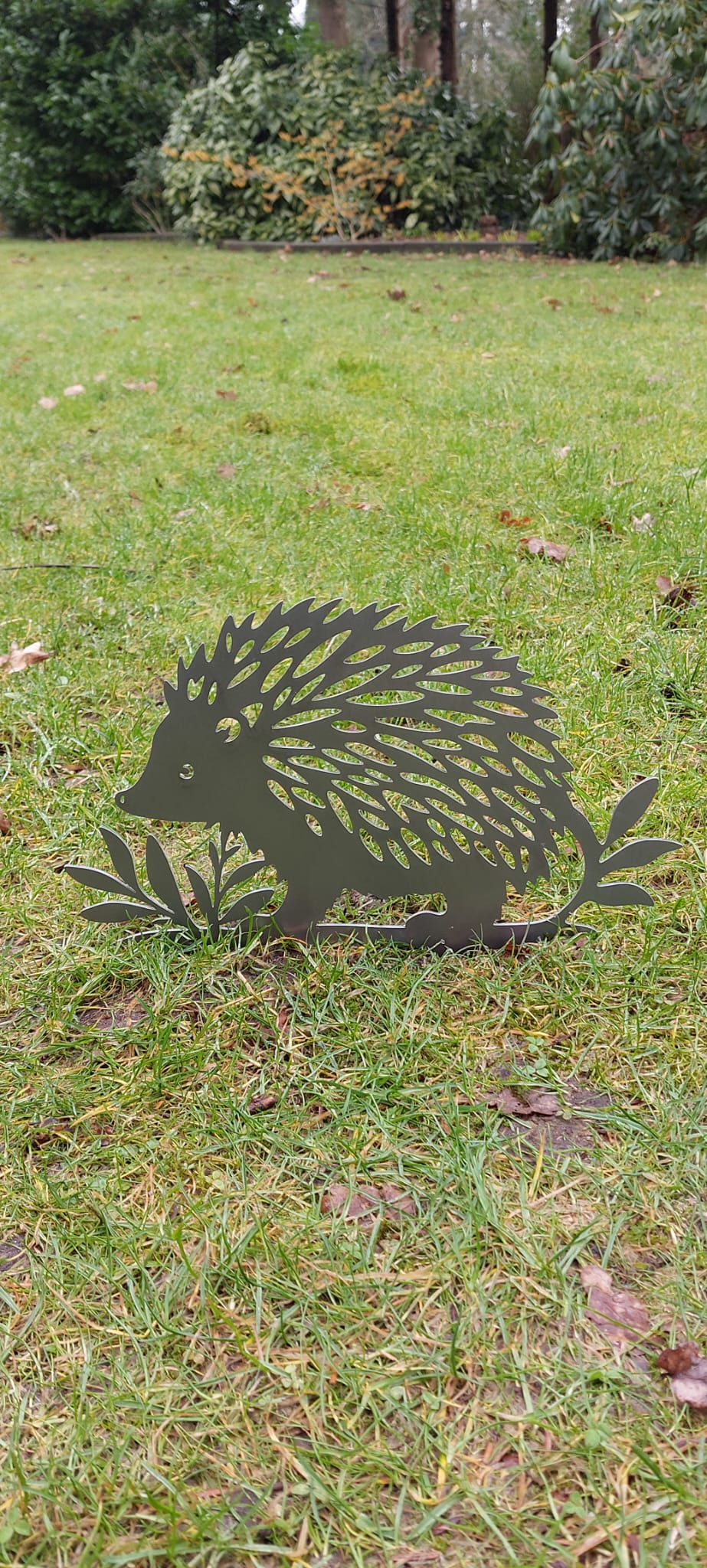 The hedgehog