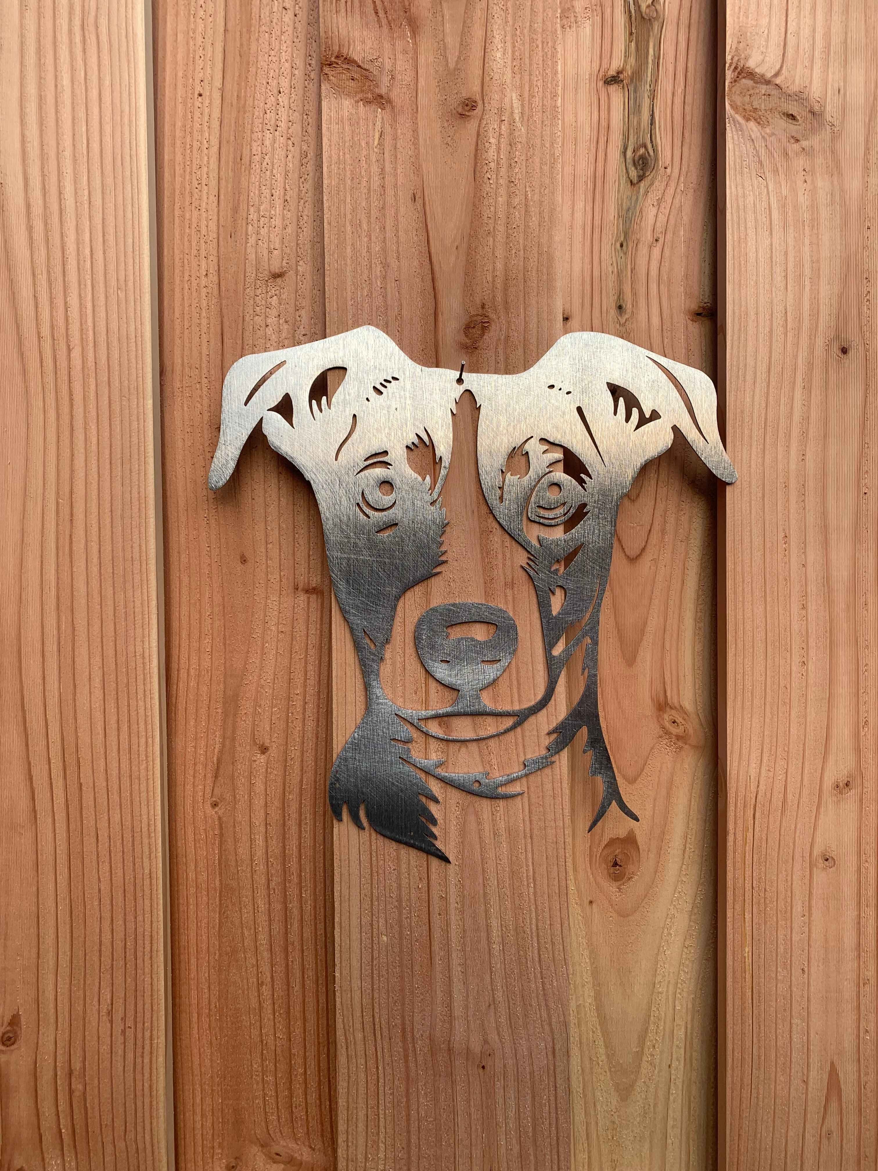 Der Jack Russel