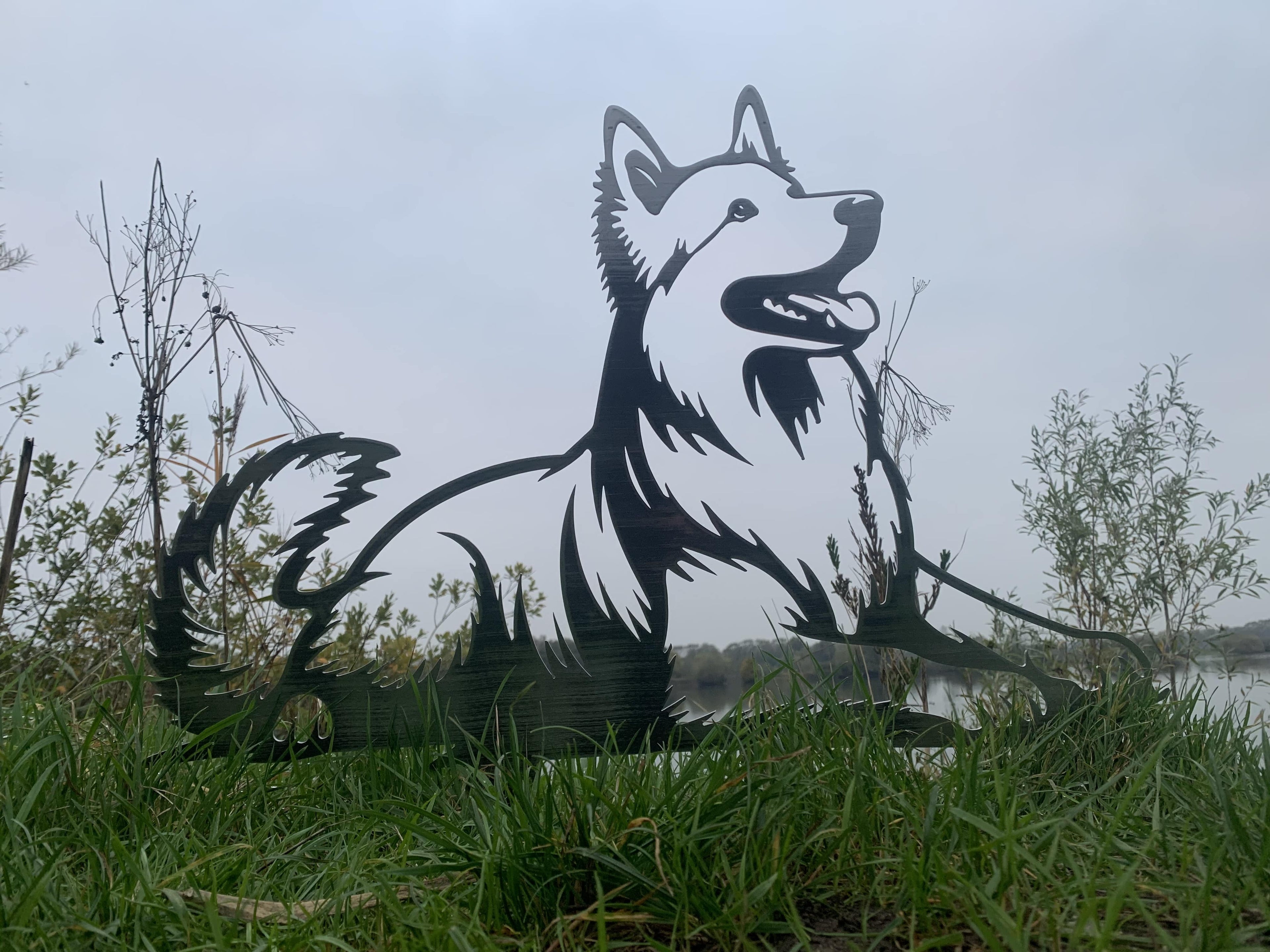 Weißer Schweizer Schäferhund