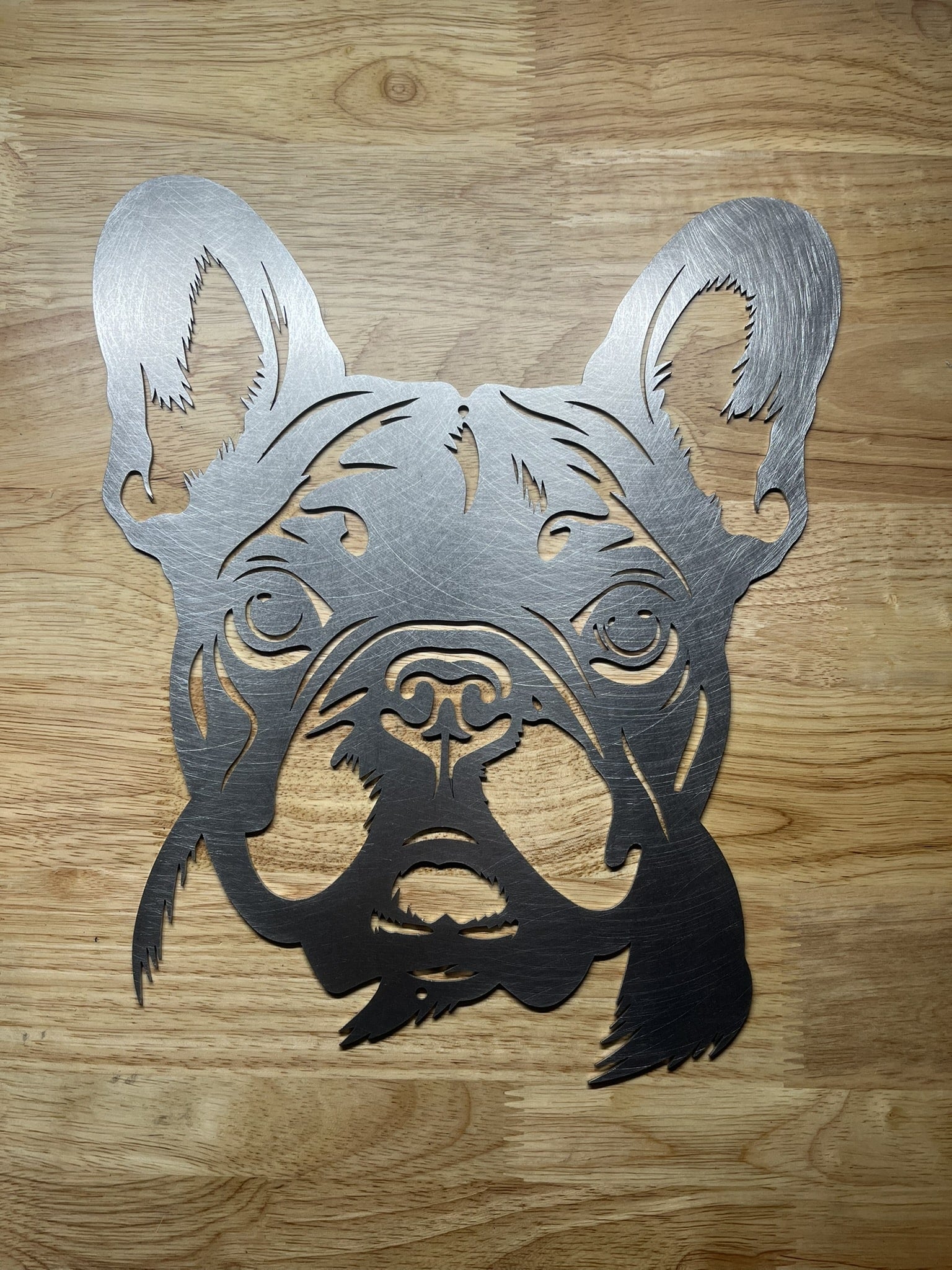 Die französische Bulldogge