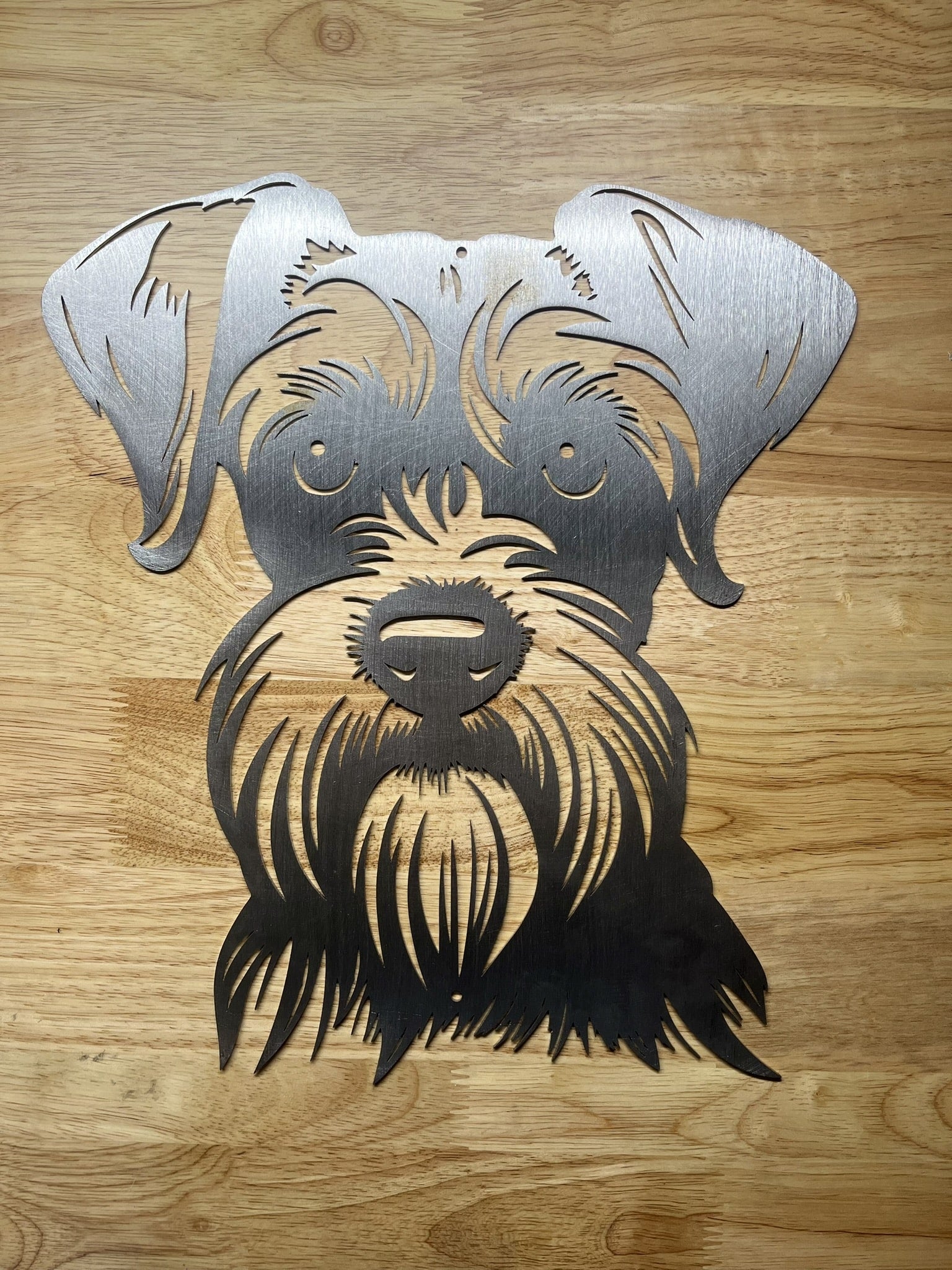 Der Zwergschnauzer