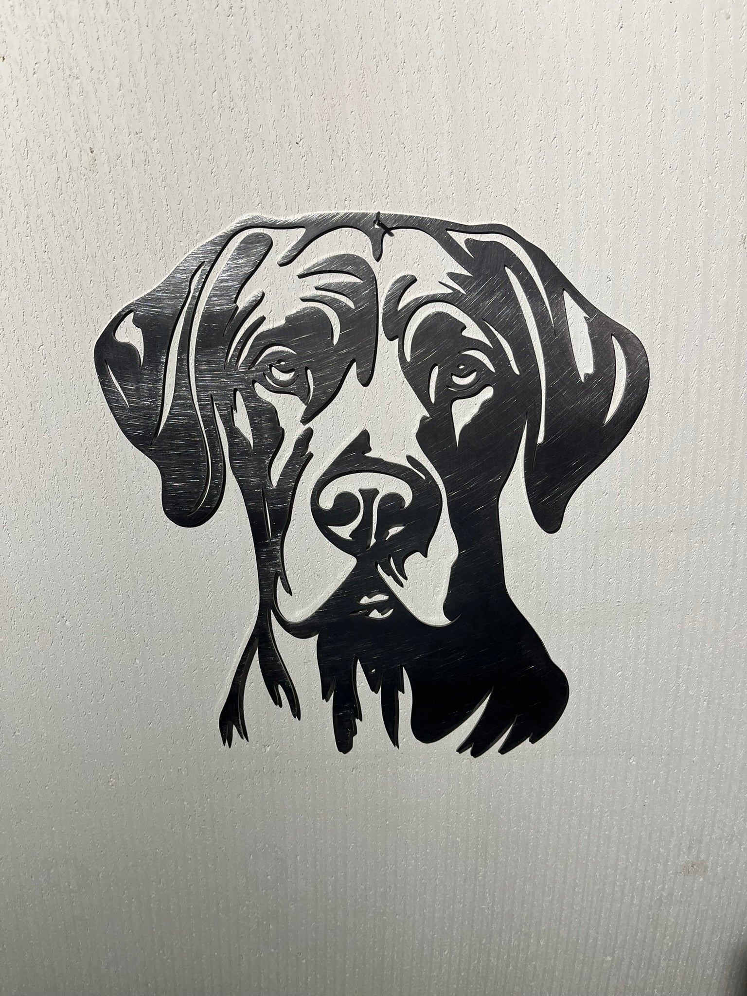Deutsche Dogge 2