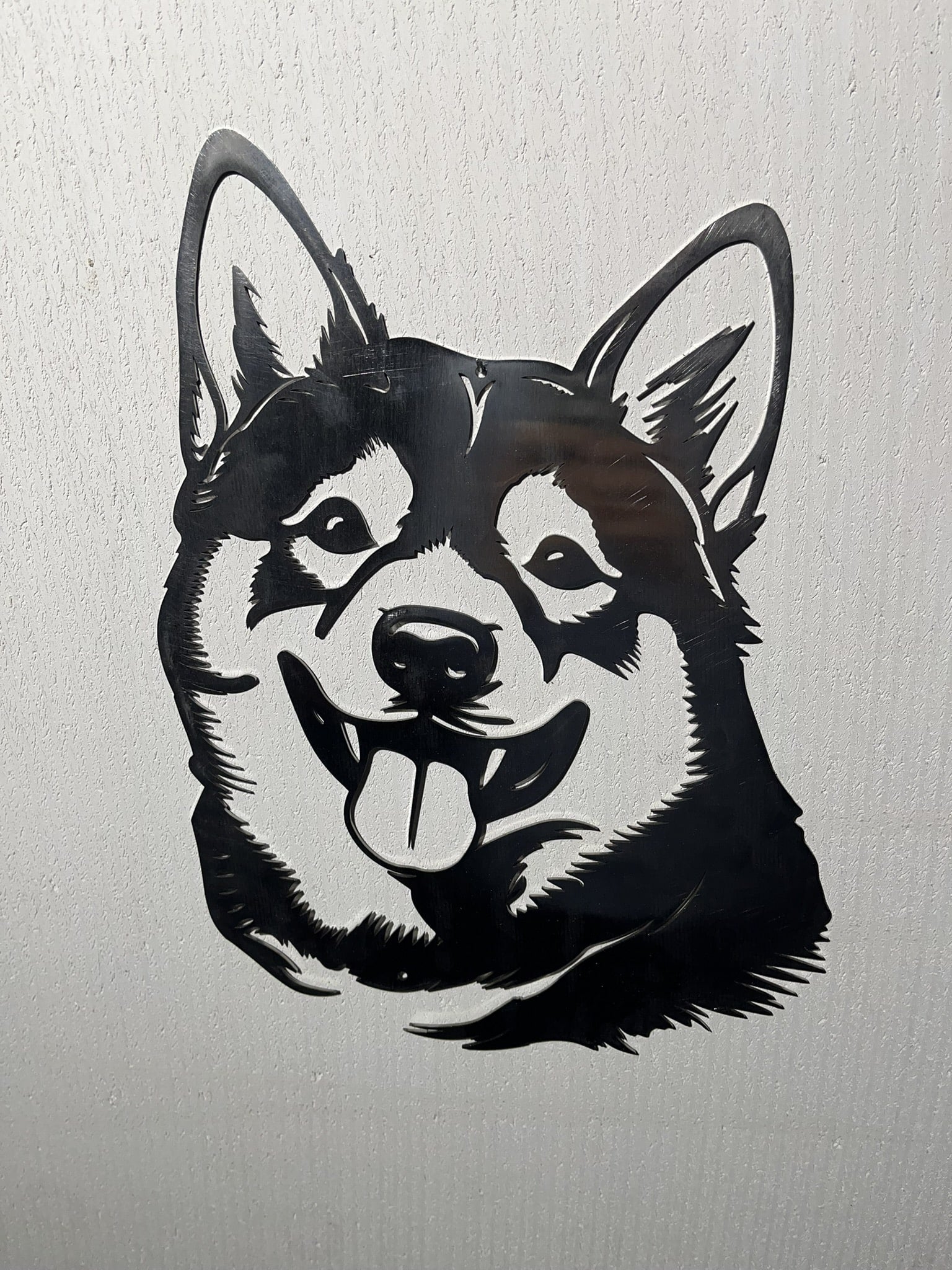 Shiba Inu