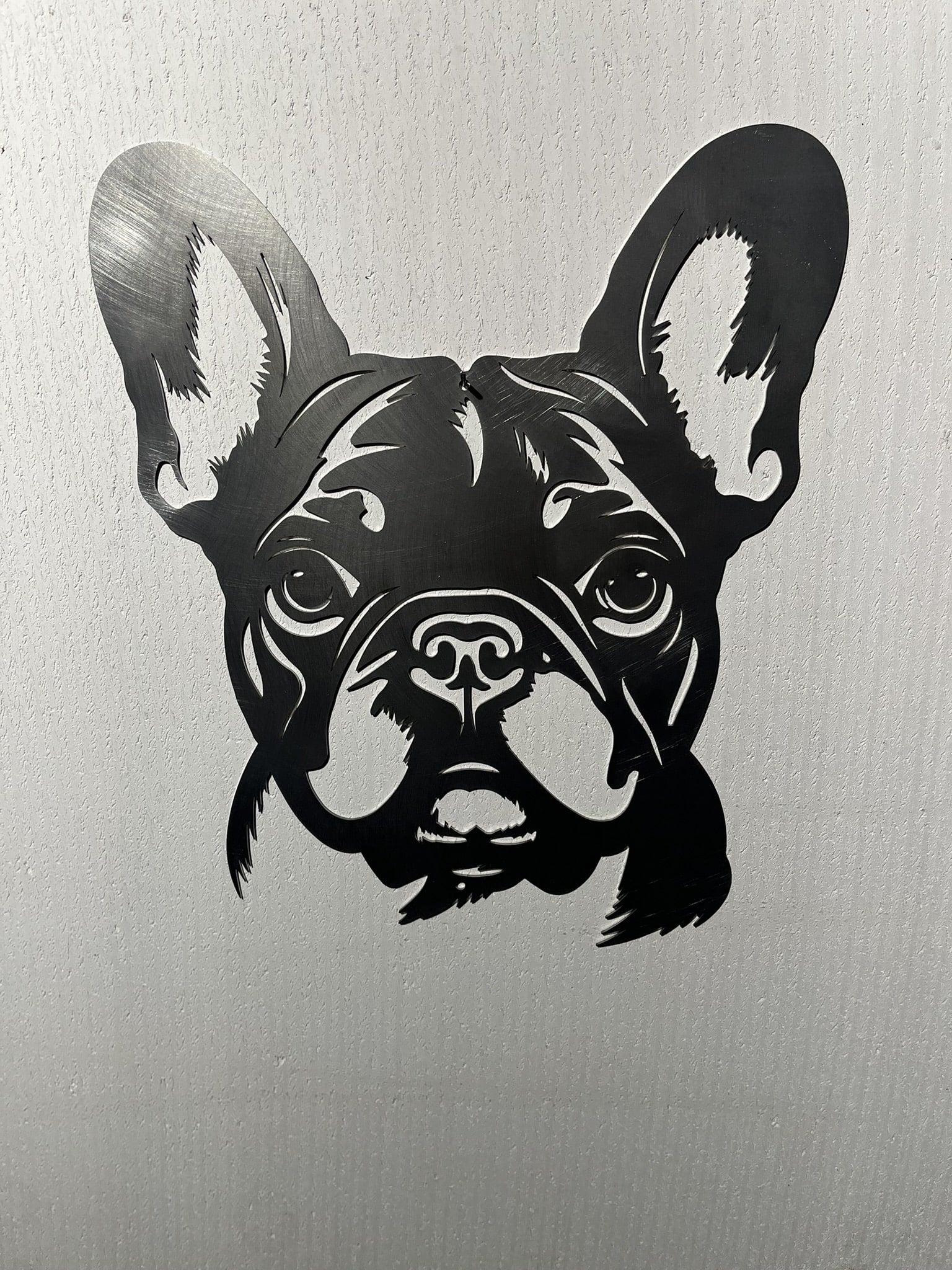 Französische Bulldogge