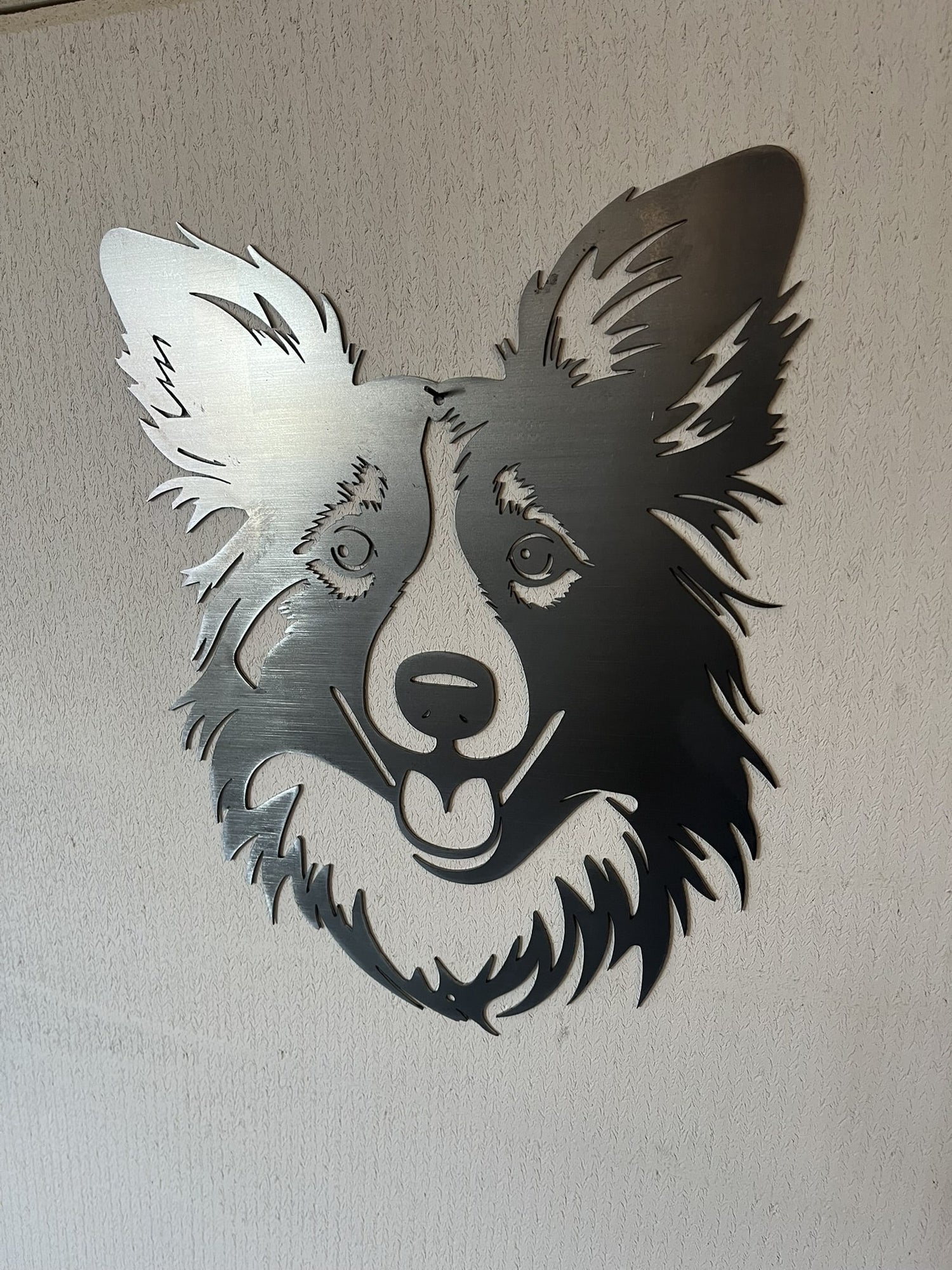 Shetland Sheepdog (Sheltie)