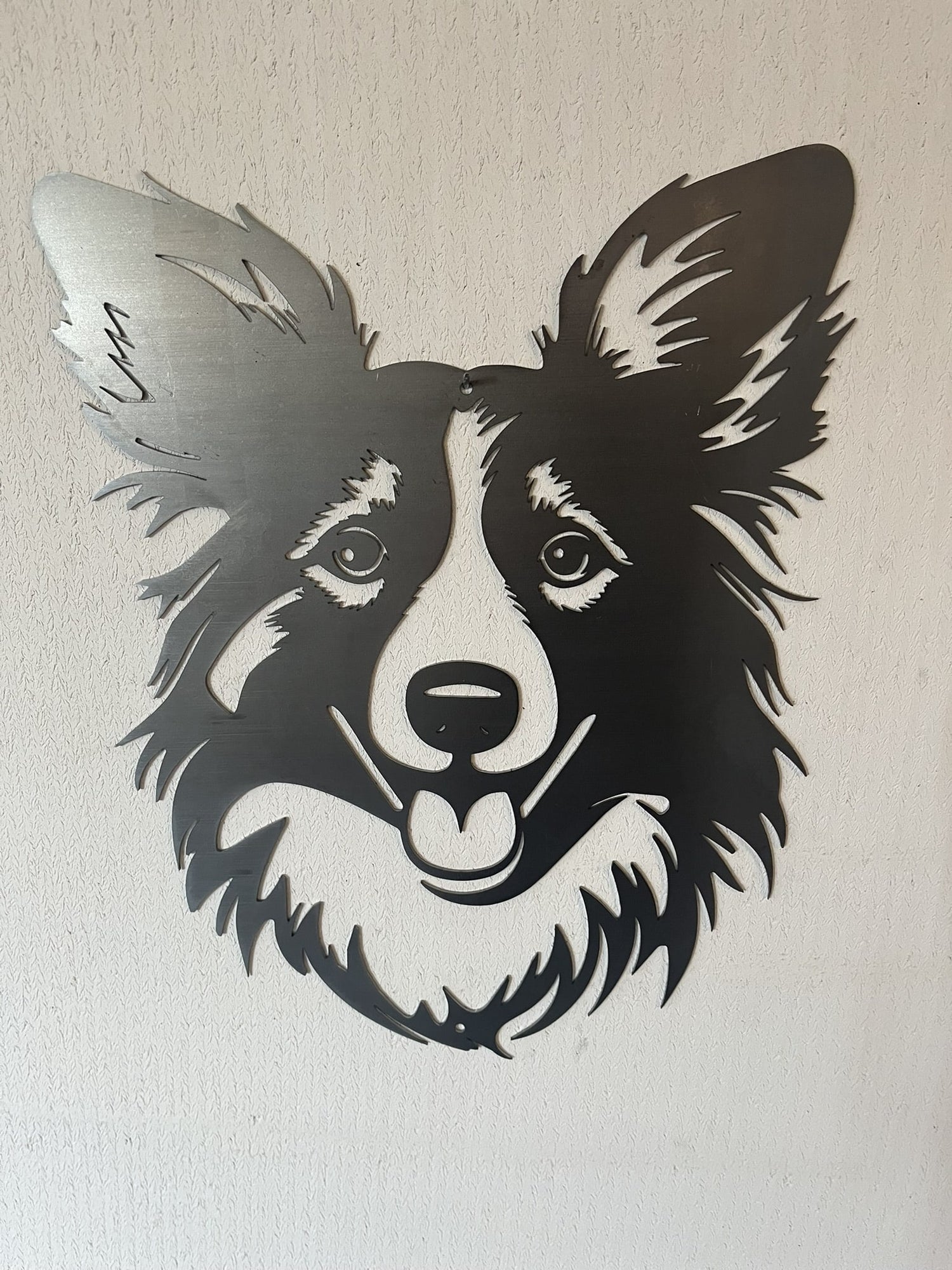 Shetland Sheepdog (Sheltie)