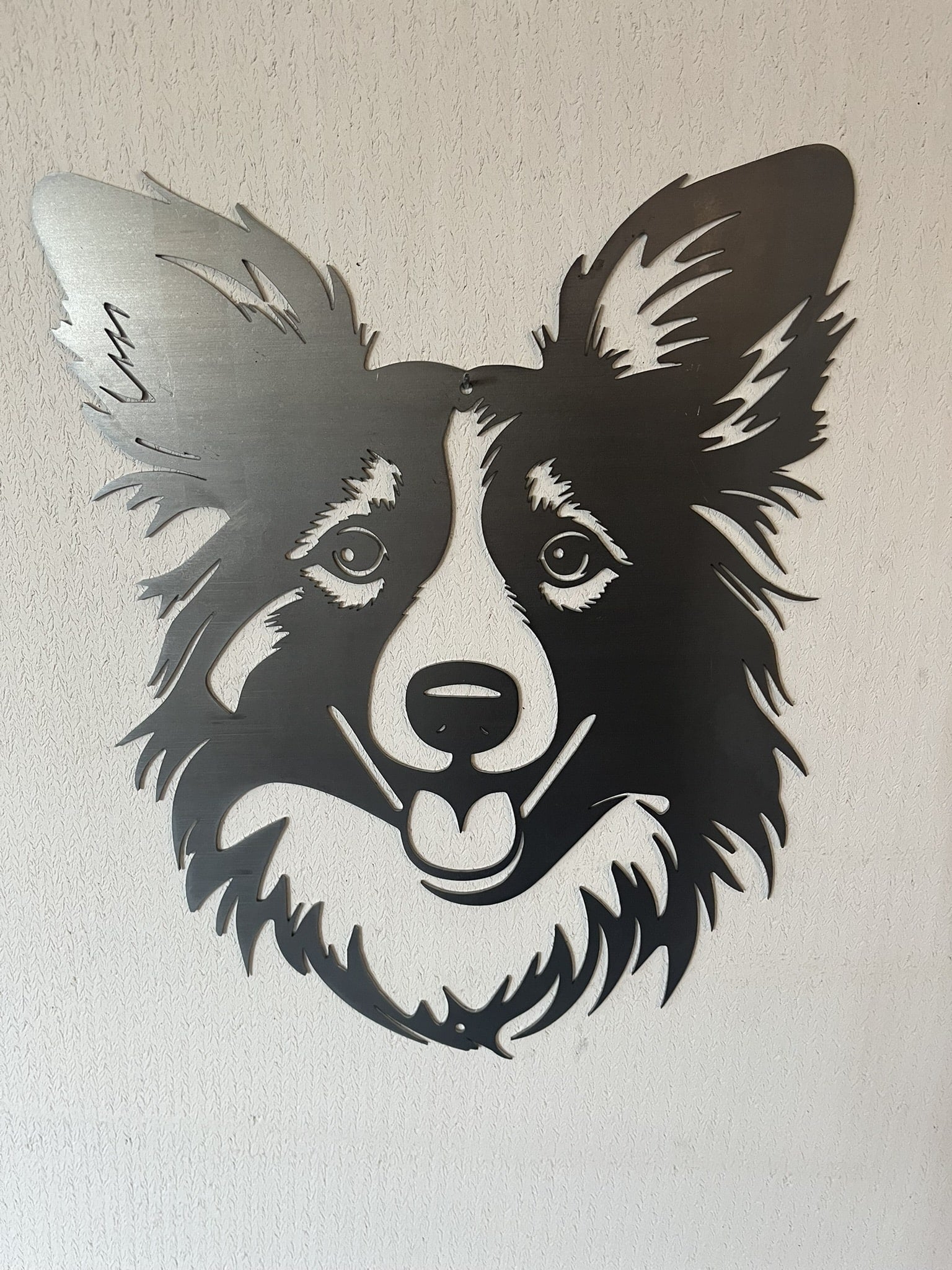 Sheltie