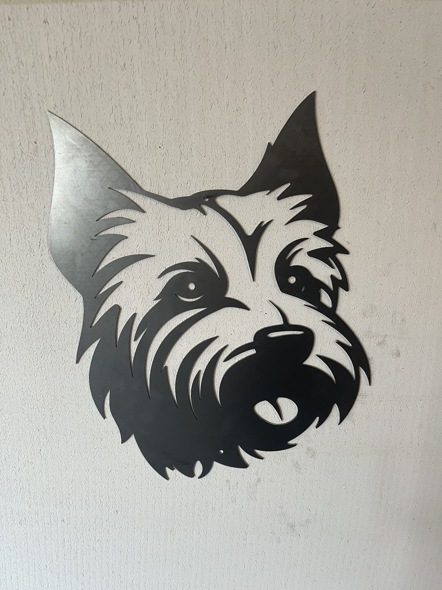 West Highland White Terrier
