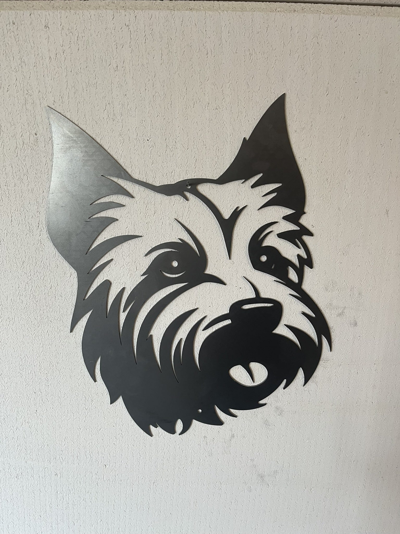 West Highland White Terrier