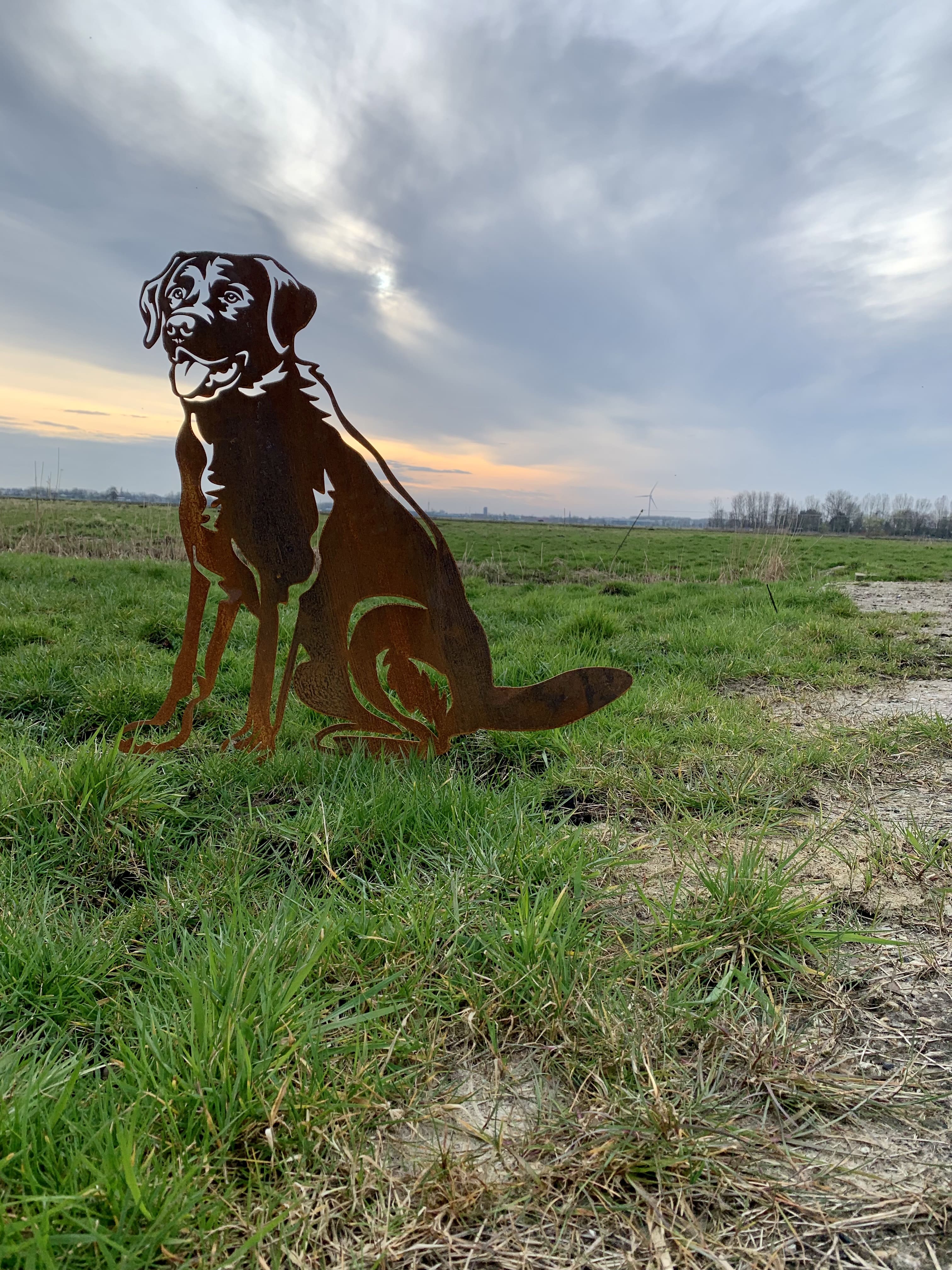 Labrador – Lebensecht