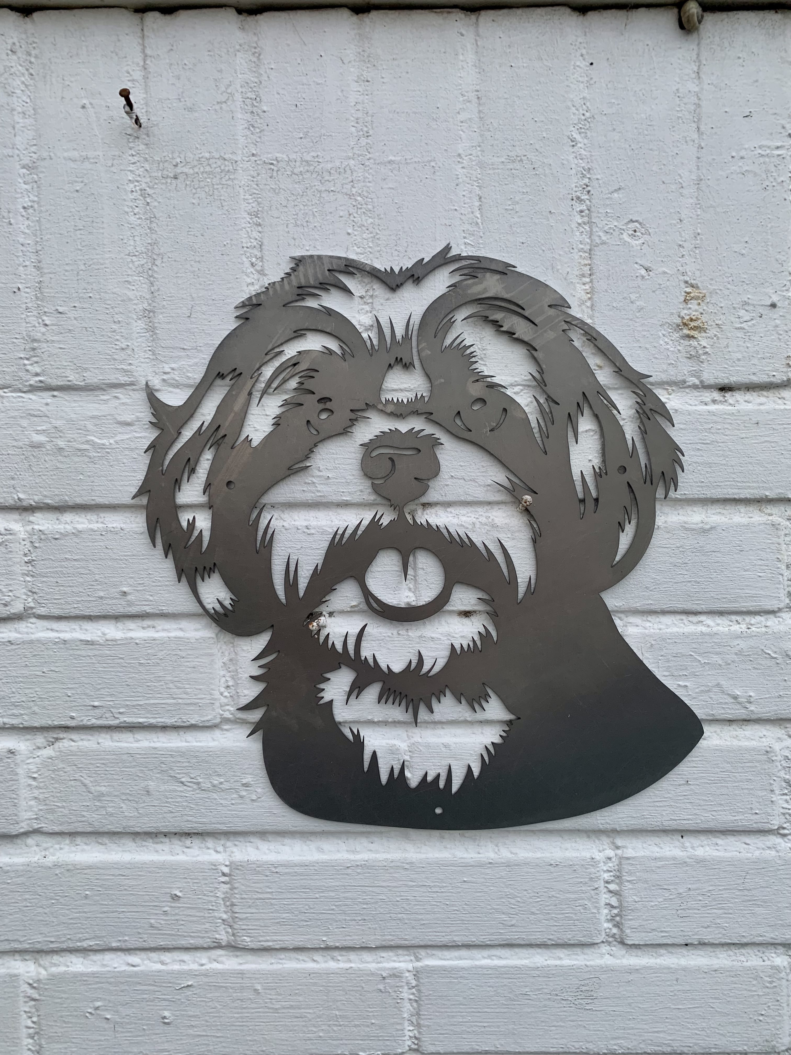 Shih Tzu