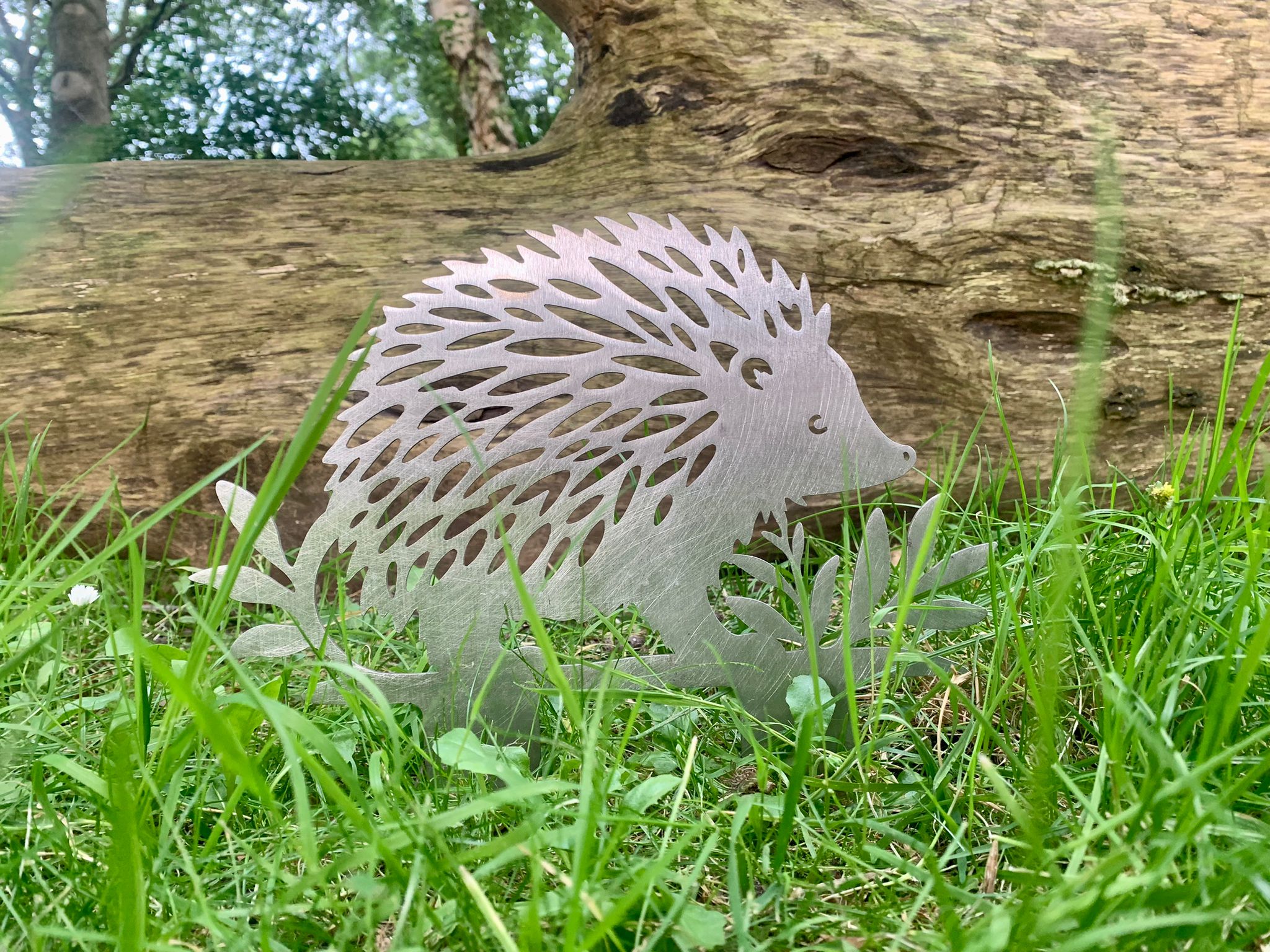 Igel