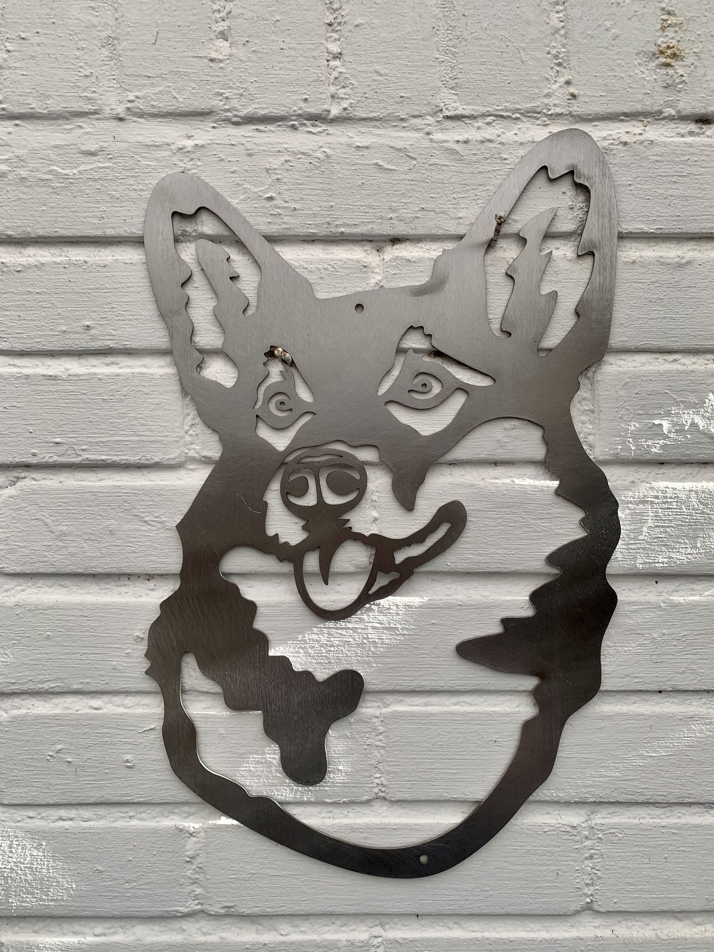 The corgi