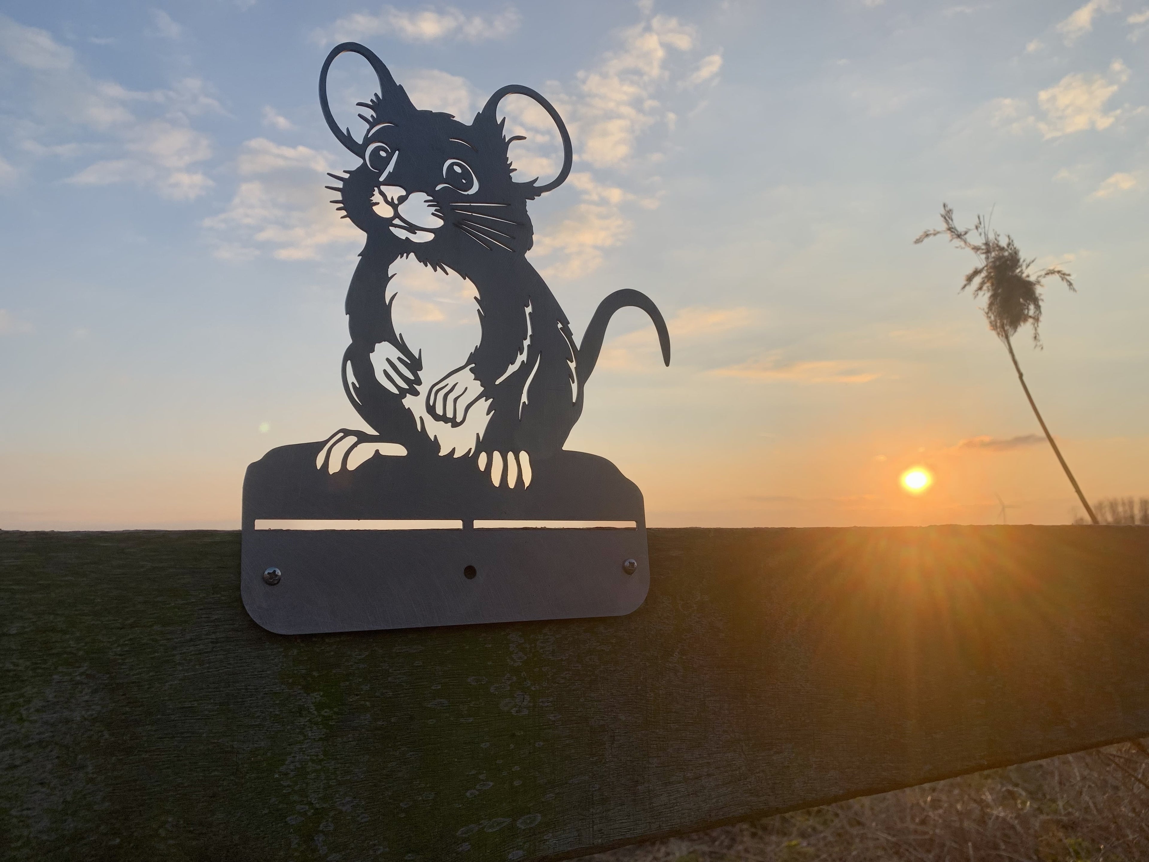 Maus