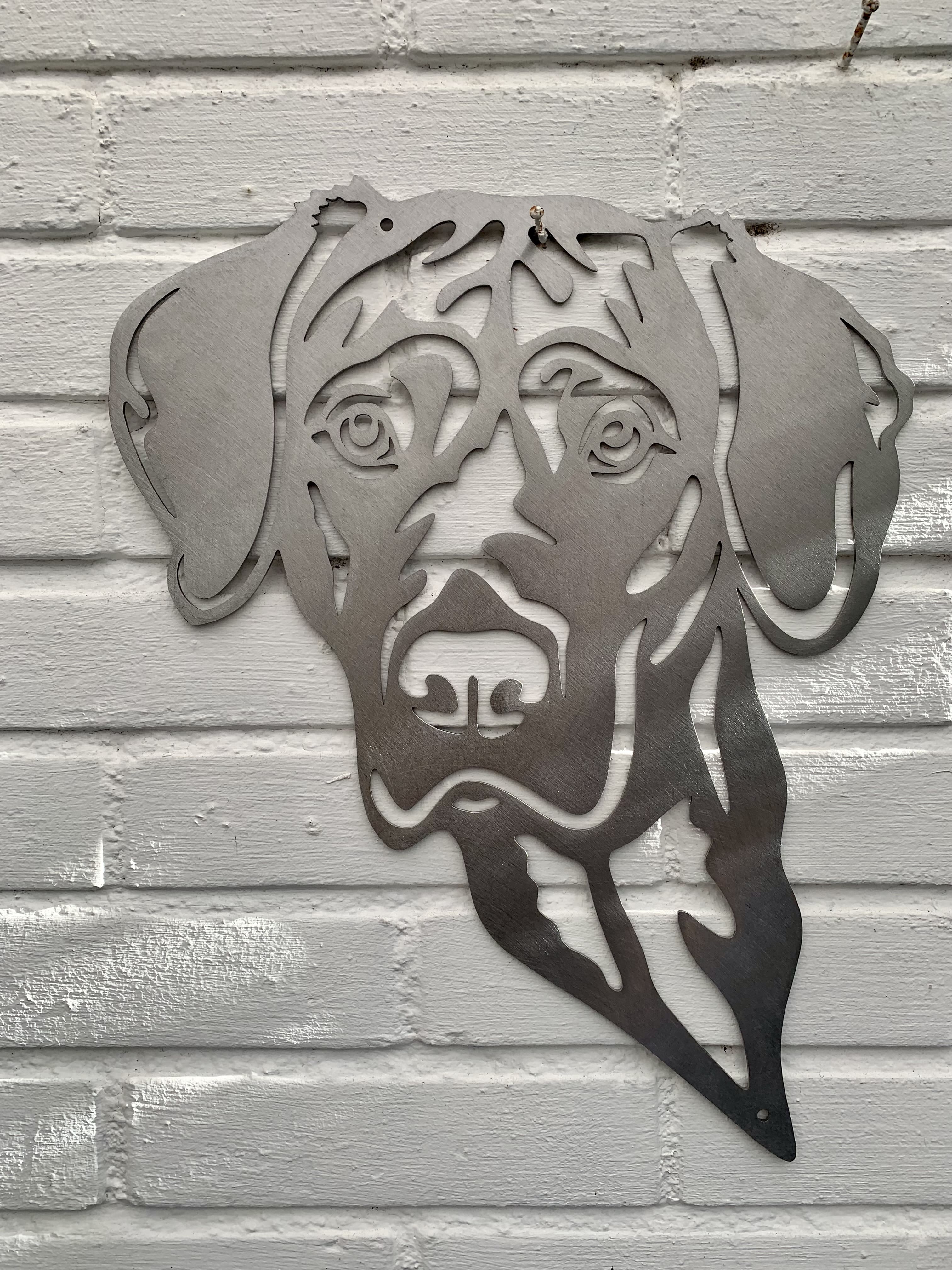 Magyar Vizsla