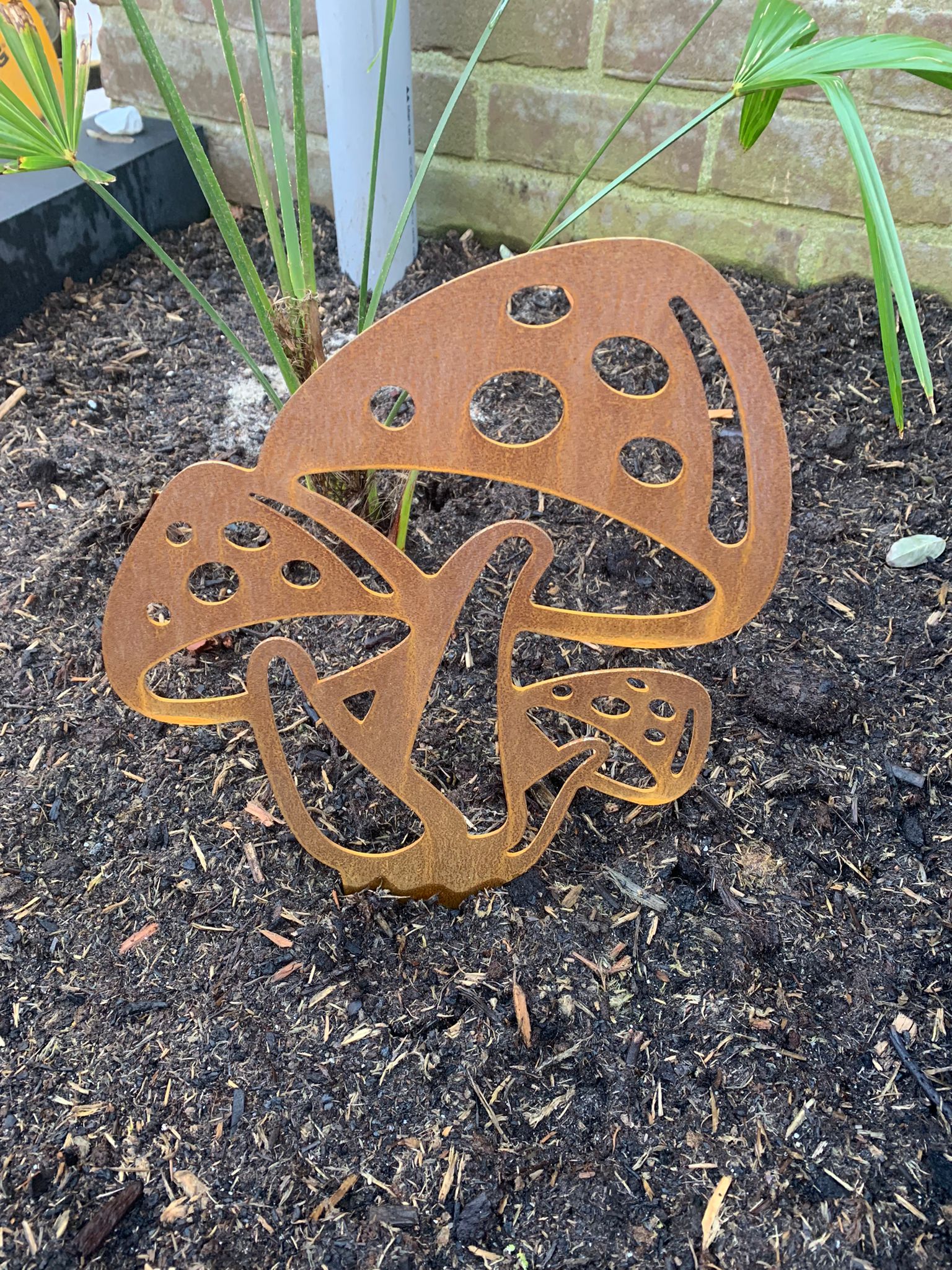 Der Pilz