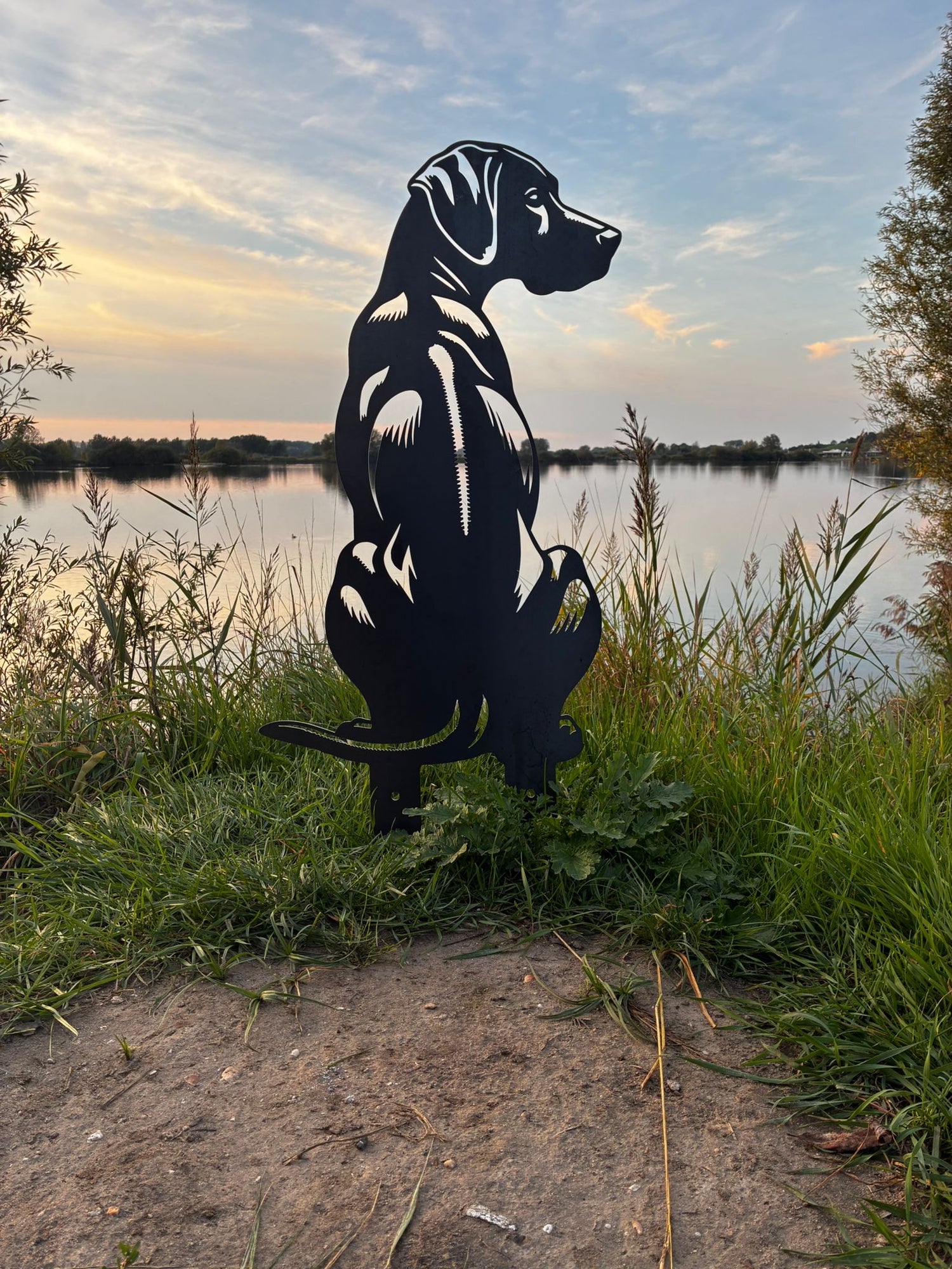 Rhodesian Ridgeback - Lebensecht