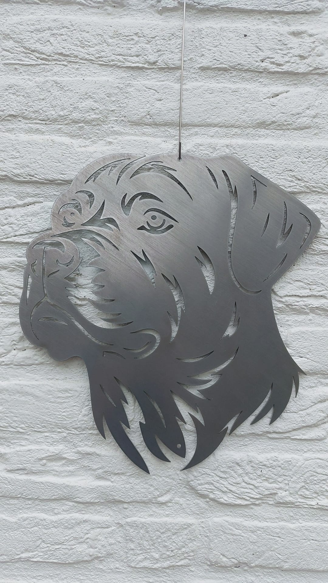 The Rottweiler