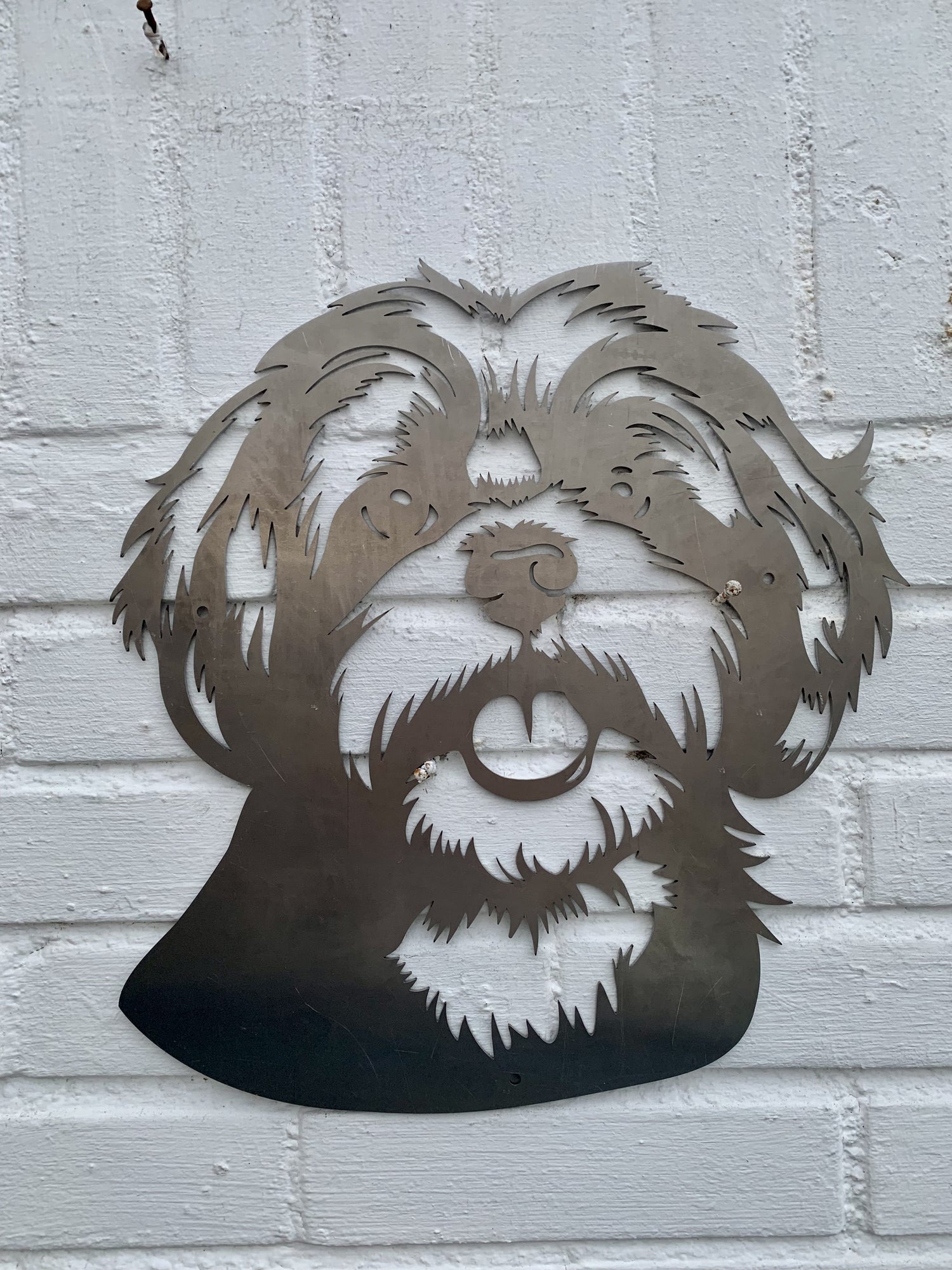 Shih Tzu