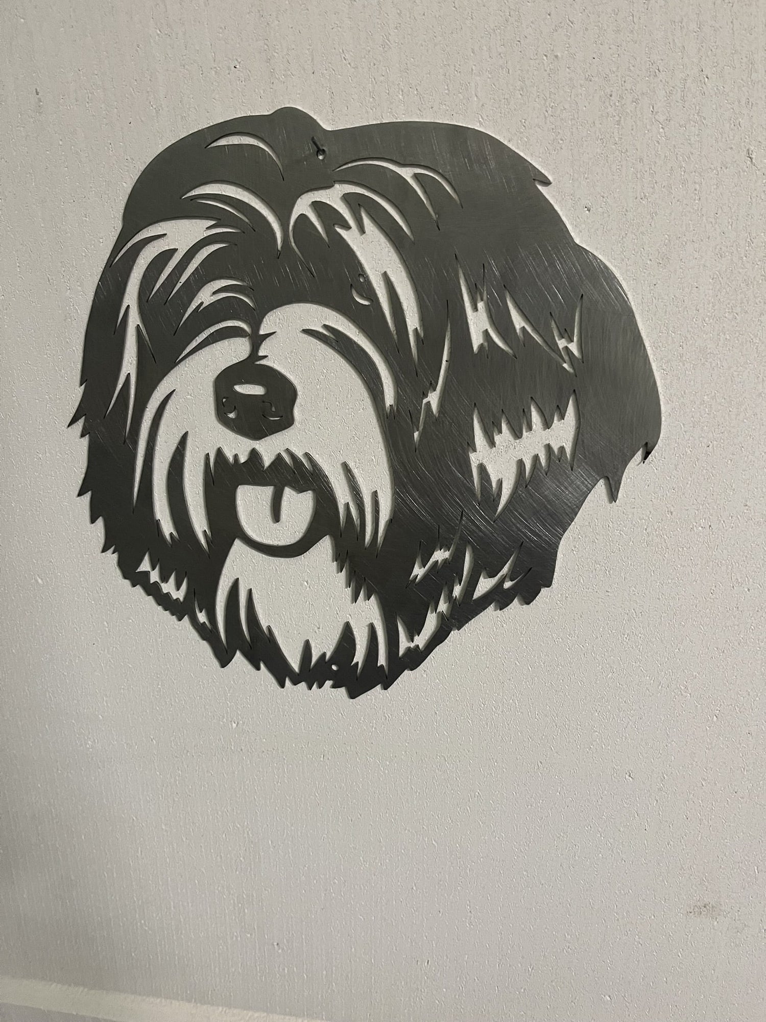 Tibet-Terrier