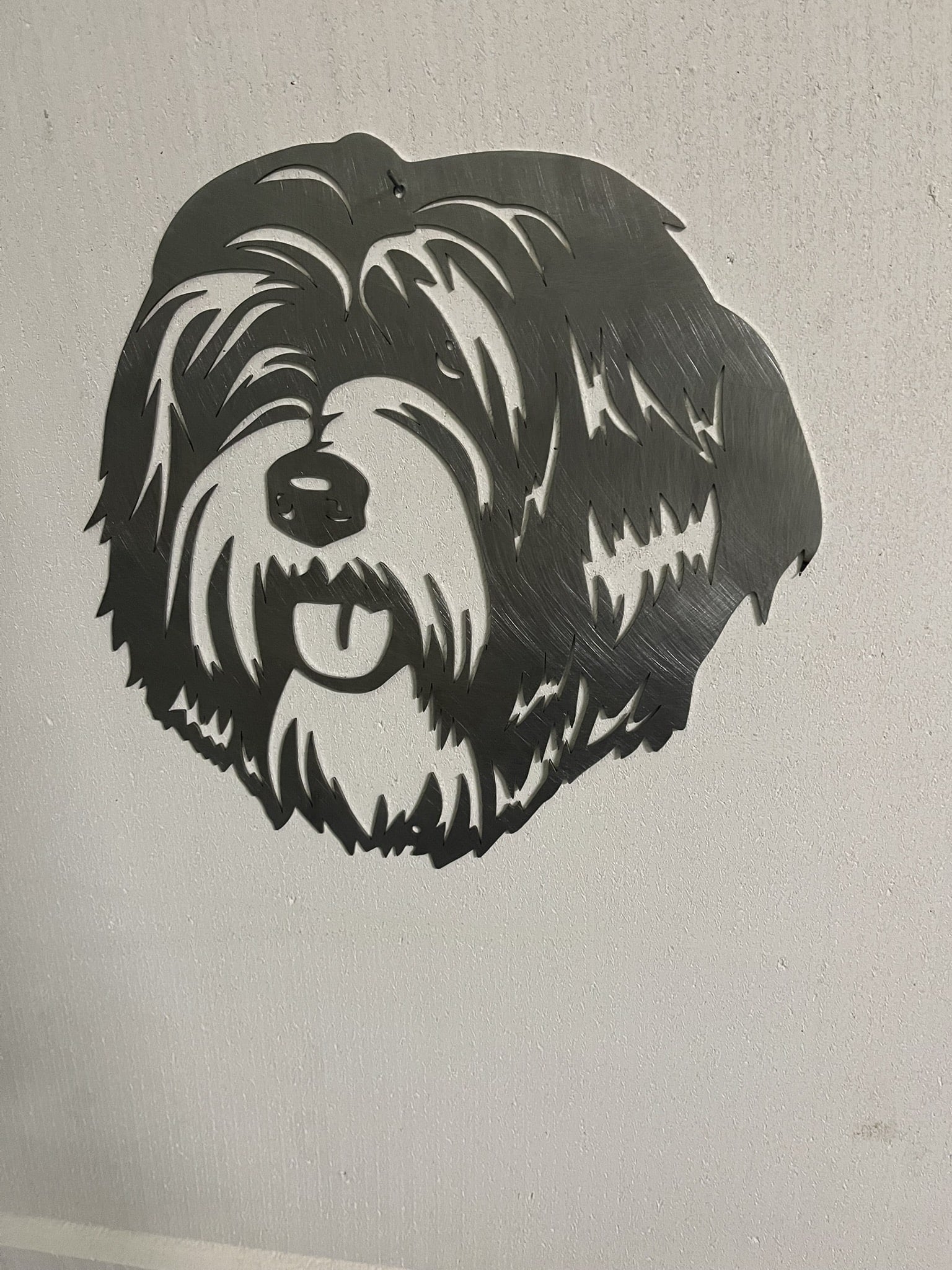 Tibet-Terrier