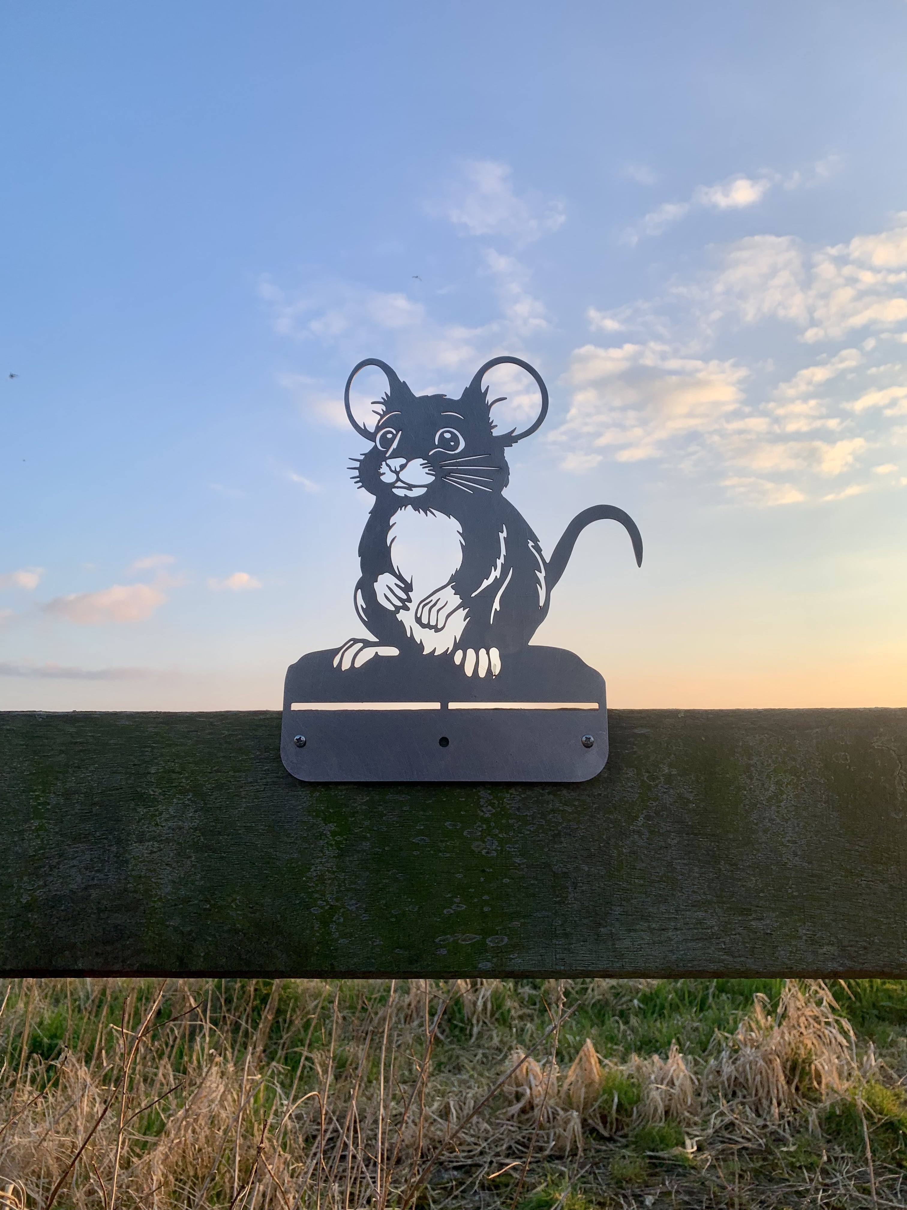 Maus