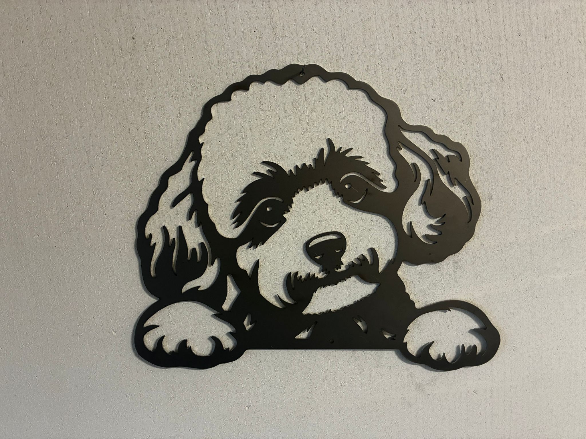 Toypudel