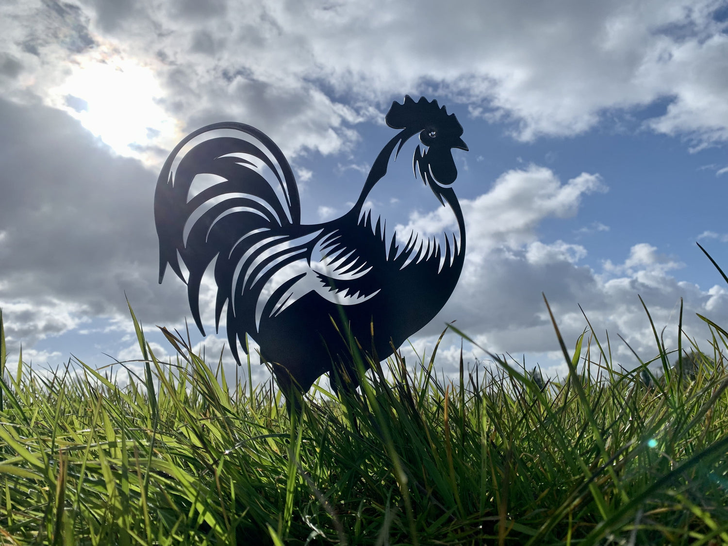 Boerderijdieren