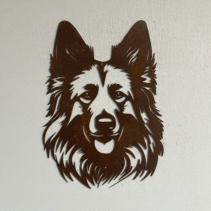 Belgischer Schäferhund