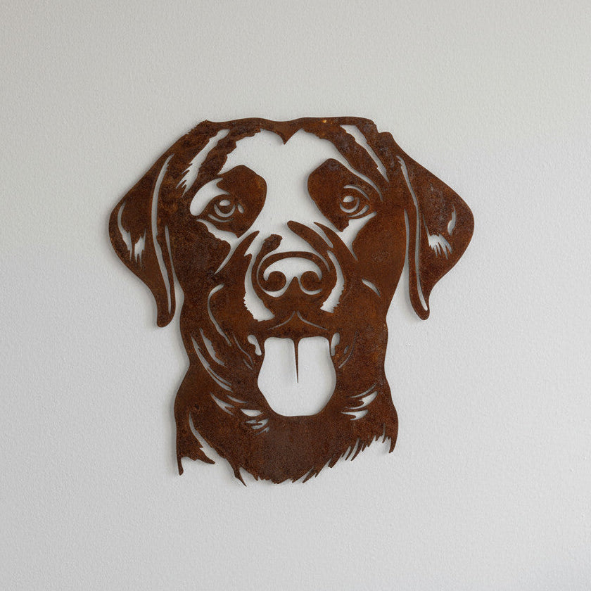 Der Labrador Retriever