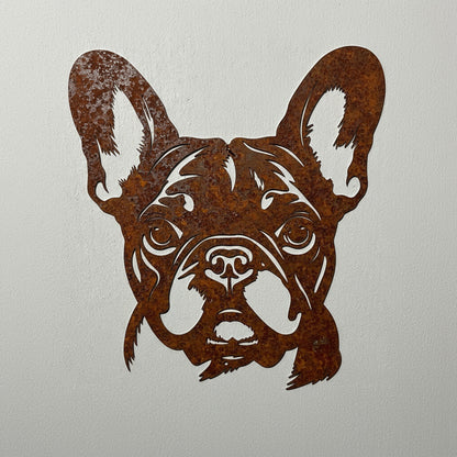 Französische Bulldogge