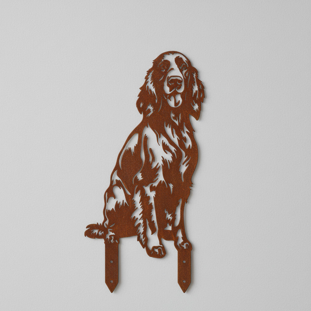 Irischer Setter - Lebensecht