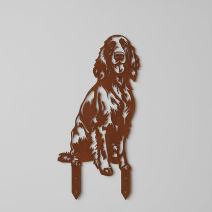 Irischer Setter - Lebensecht