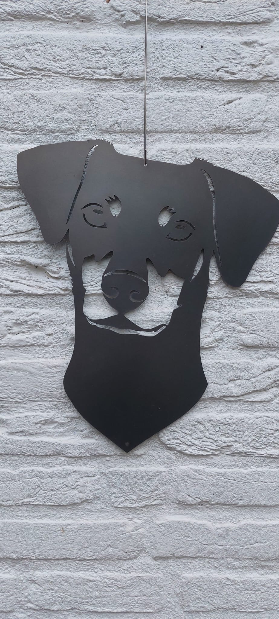 Deutscher Pinscher