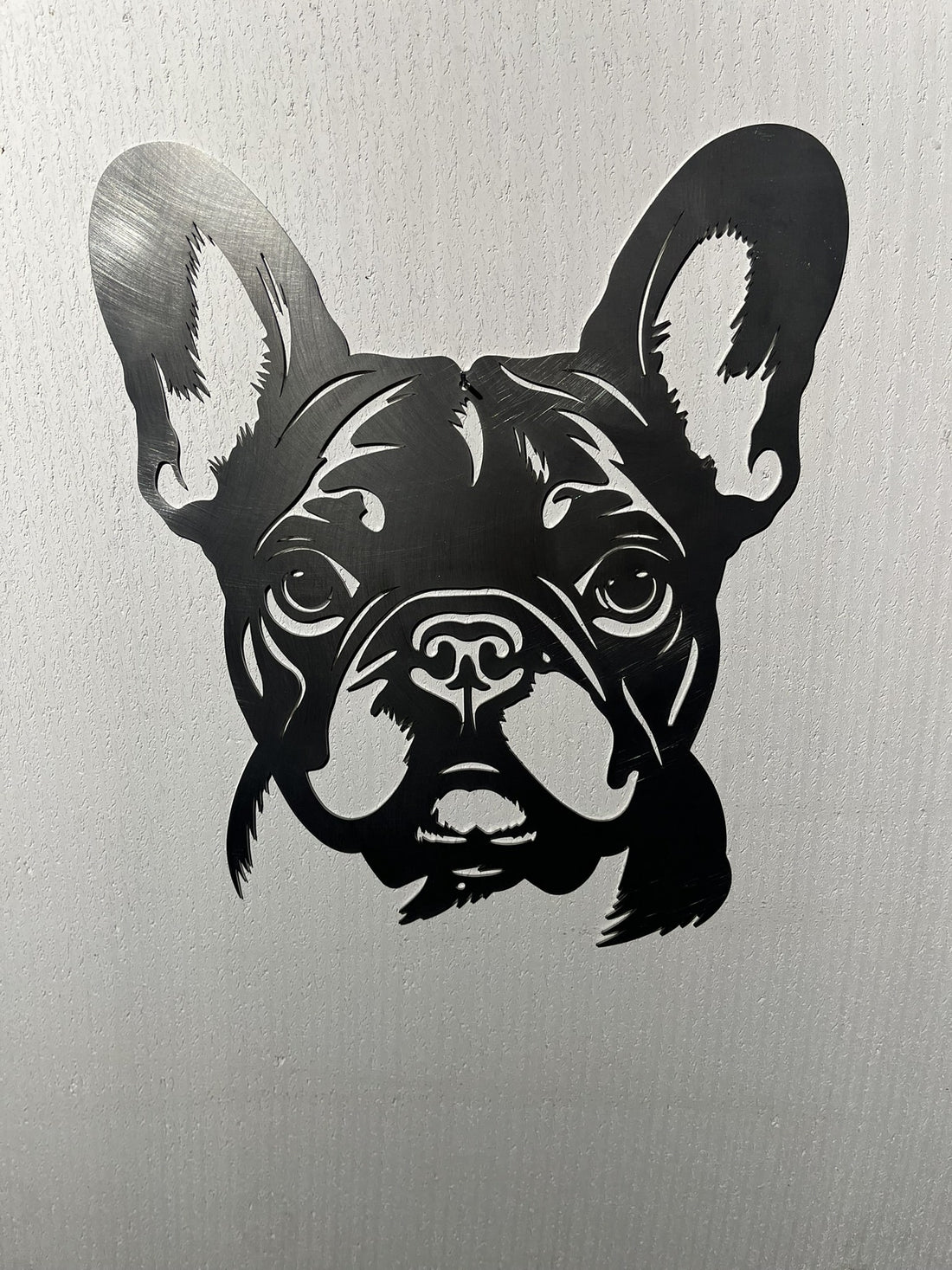 Französische Bulldogge