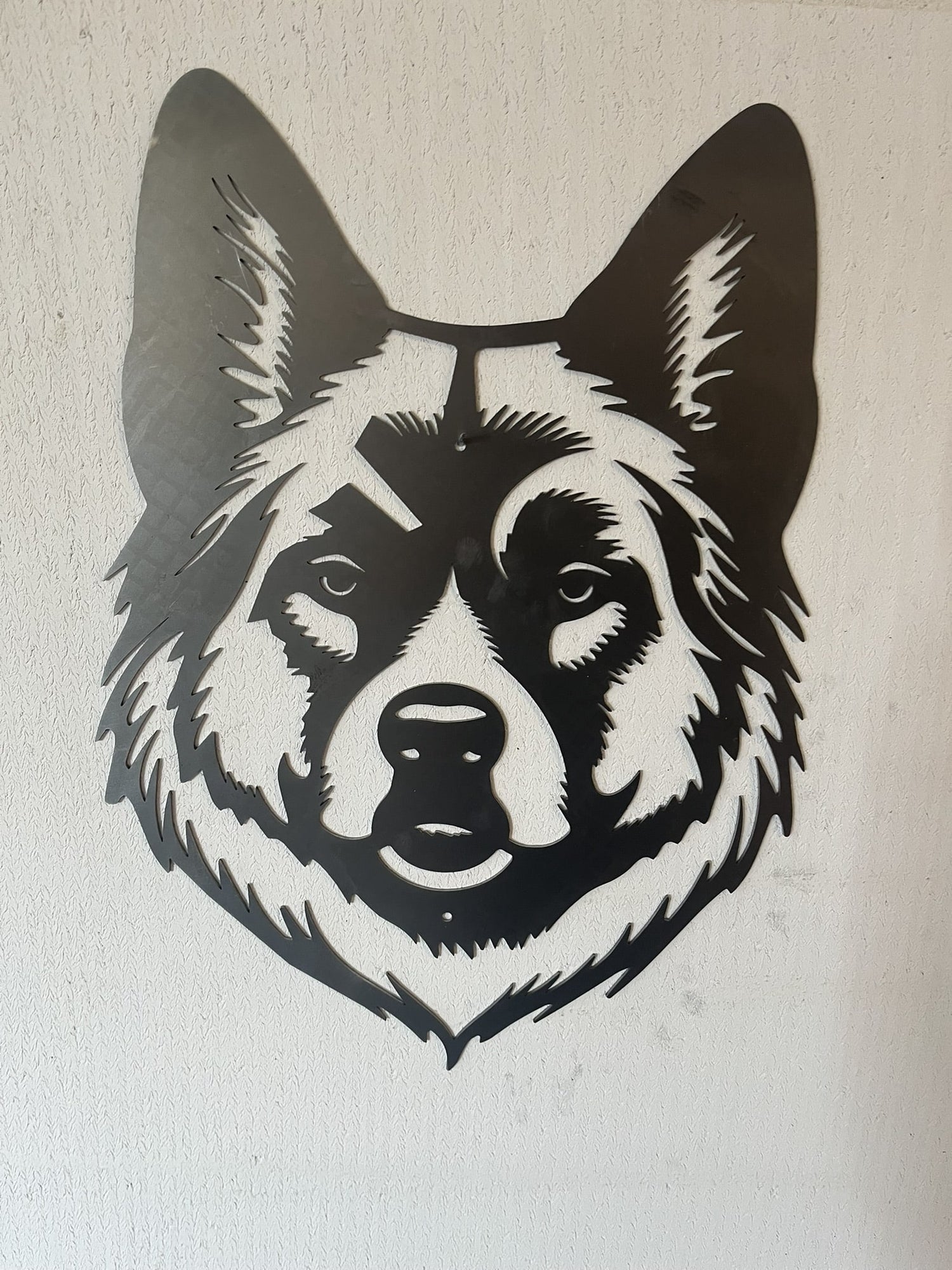 Akita