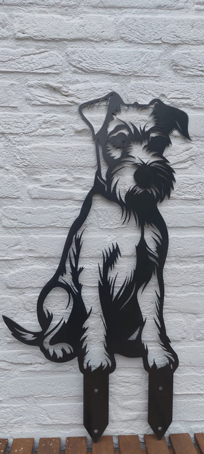 Irischer Terrier - Lebensecht