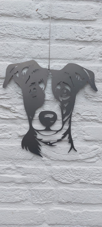 Der Jack Russel