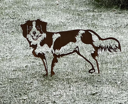 The Kooikerhondje