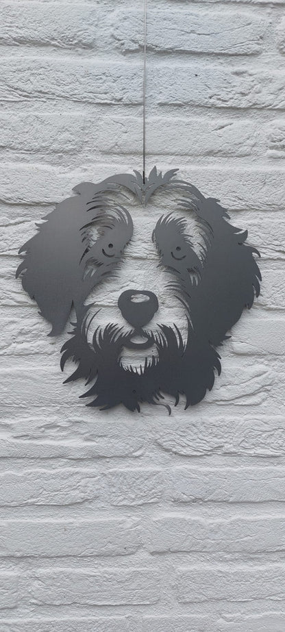 Labradoodle