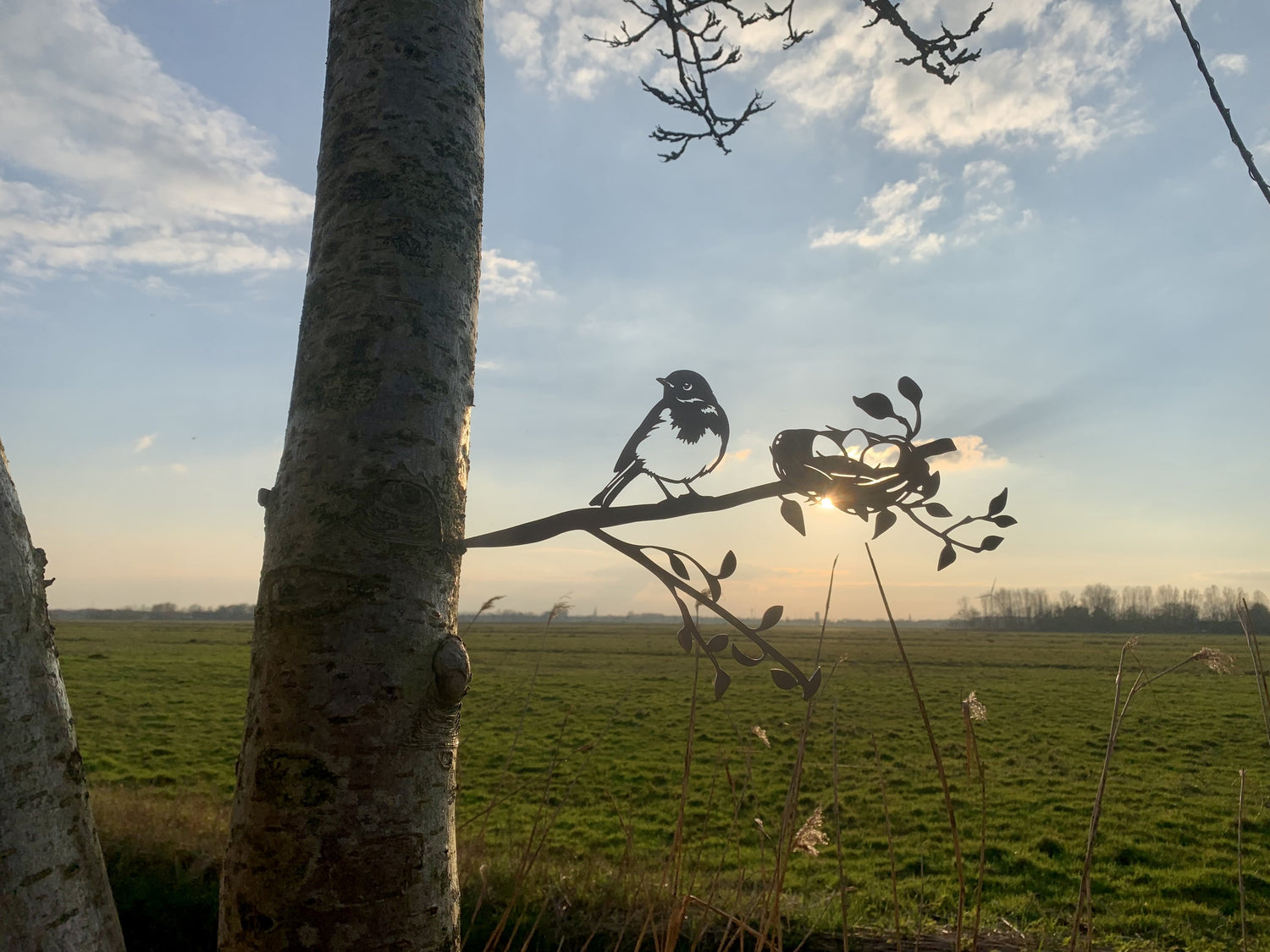 Vogel mit Nest