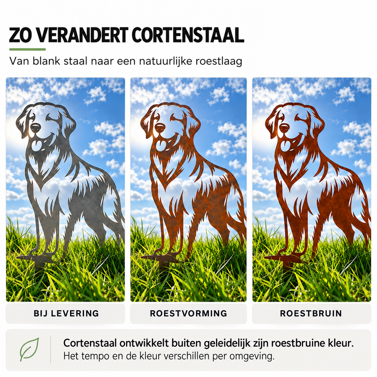 Golden Retriever in cortenstaal: van blank staal naar roestbruin